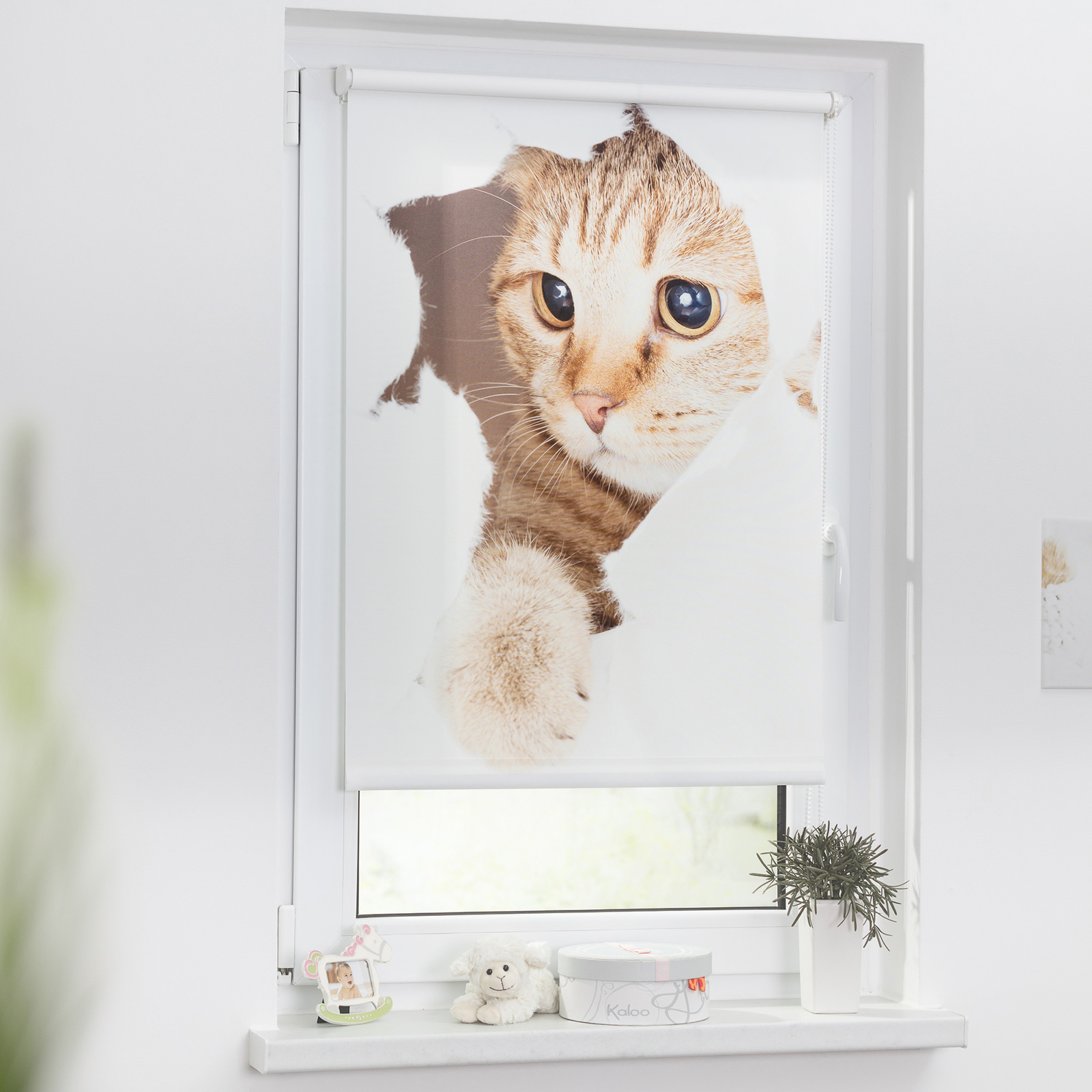 LICHTBLICK Verdunklungsrollo Katze - weiß-braun - 80x150 cm