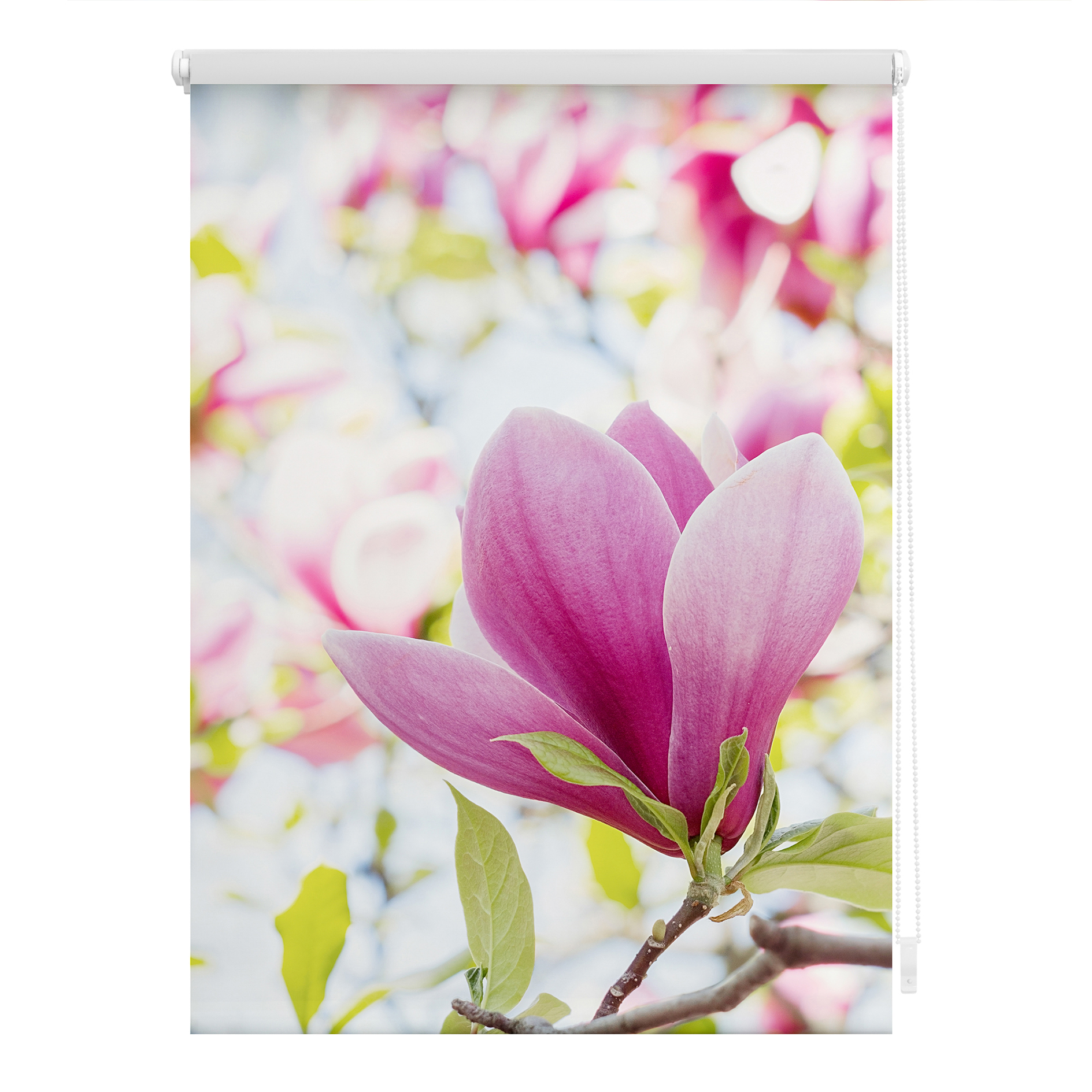 LICHTBLICK Verdunklungsrollo MAGNOLIE - rosa - 90x150 cm