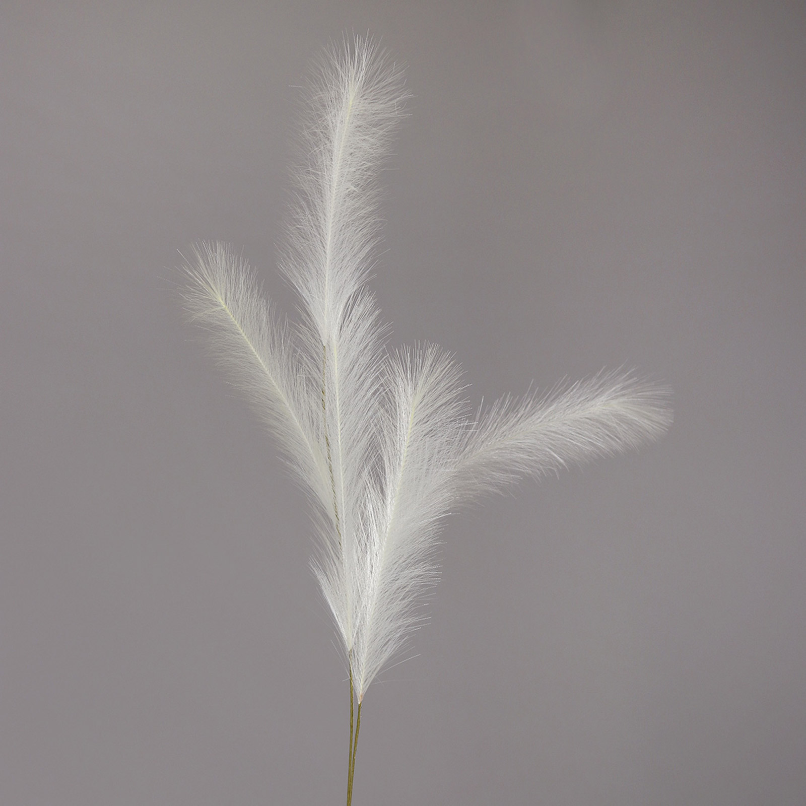 Pampas-Gras - weiß - Kunststoff - 145 cm