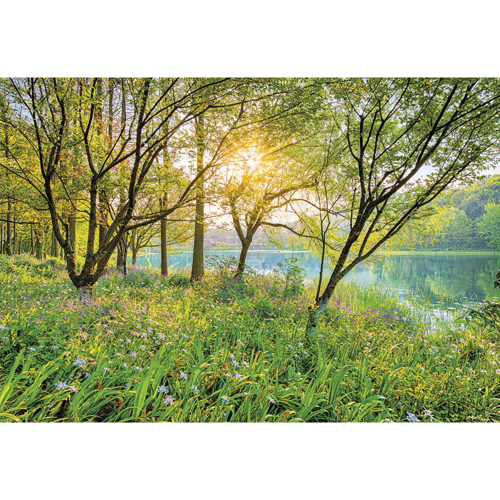 Papier-Fototapete SPRING LAKE - grün - 368x254 cm