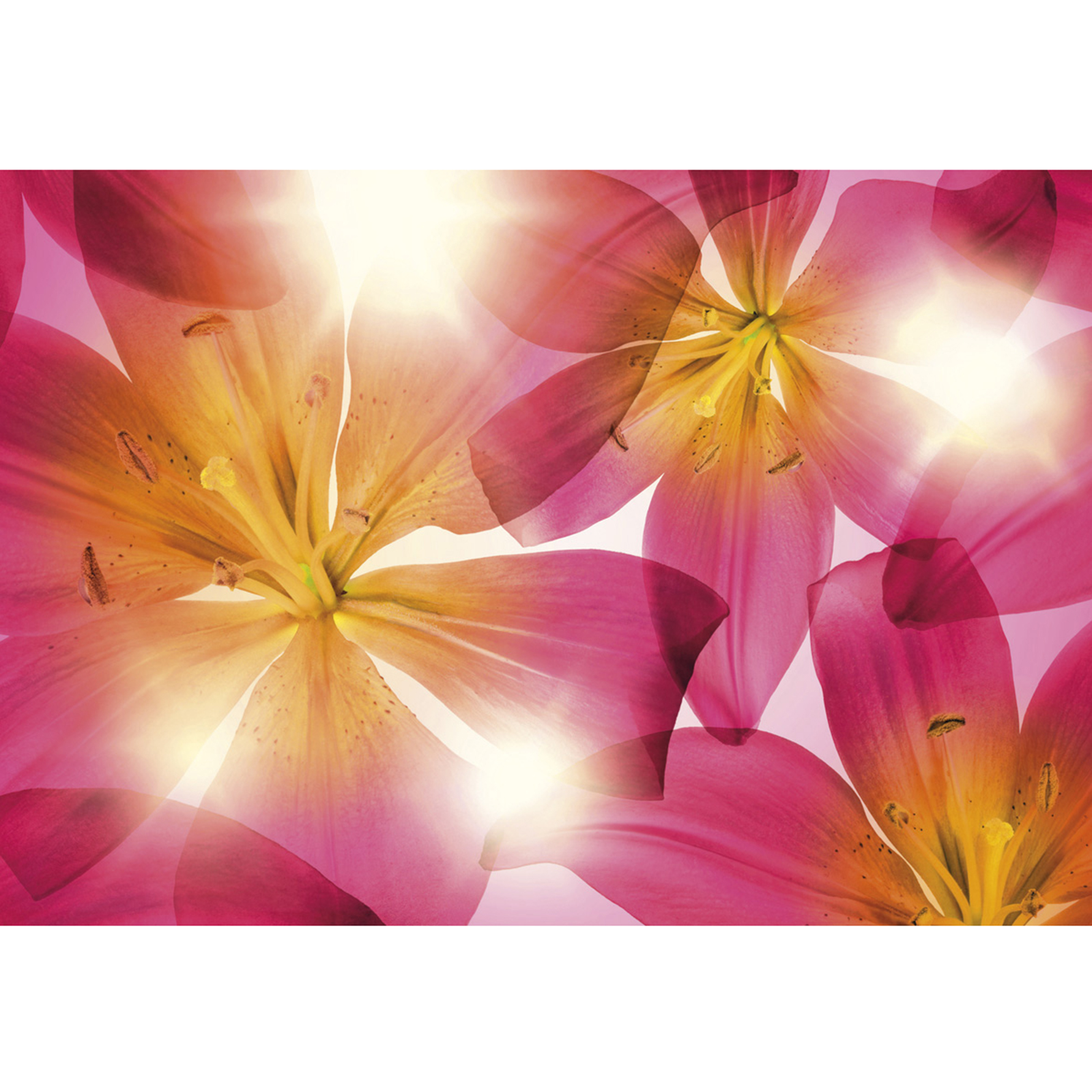 Papier-Fototapete SUMMER SUN - pink-orange - 368x254 cm