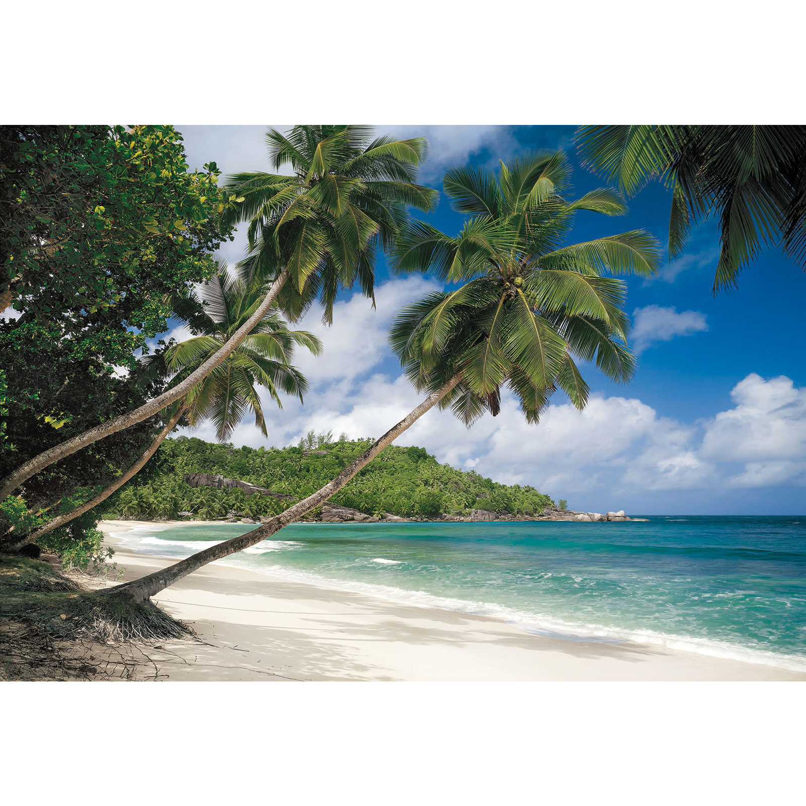 Papier-Fototapete TROPICAL SEA - bunt - 368x254 cm