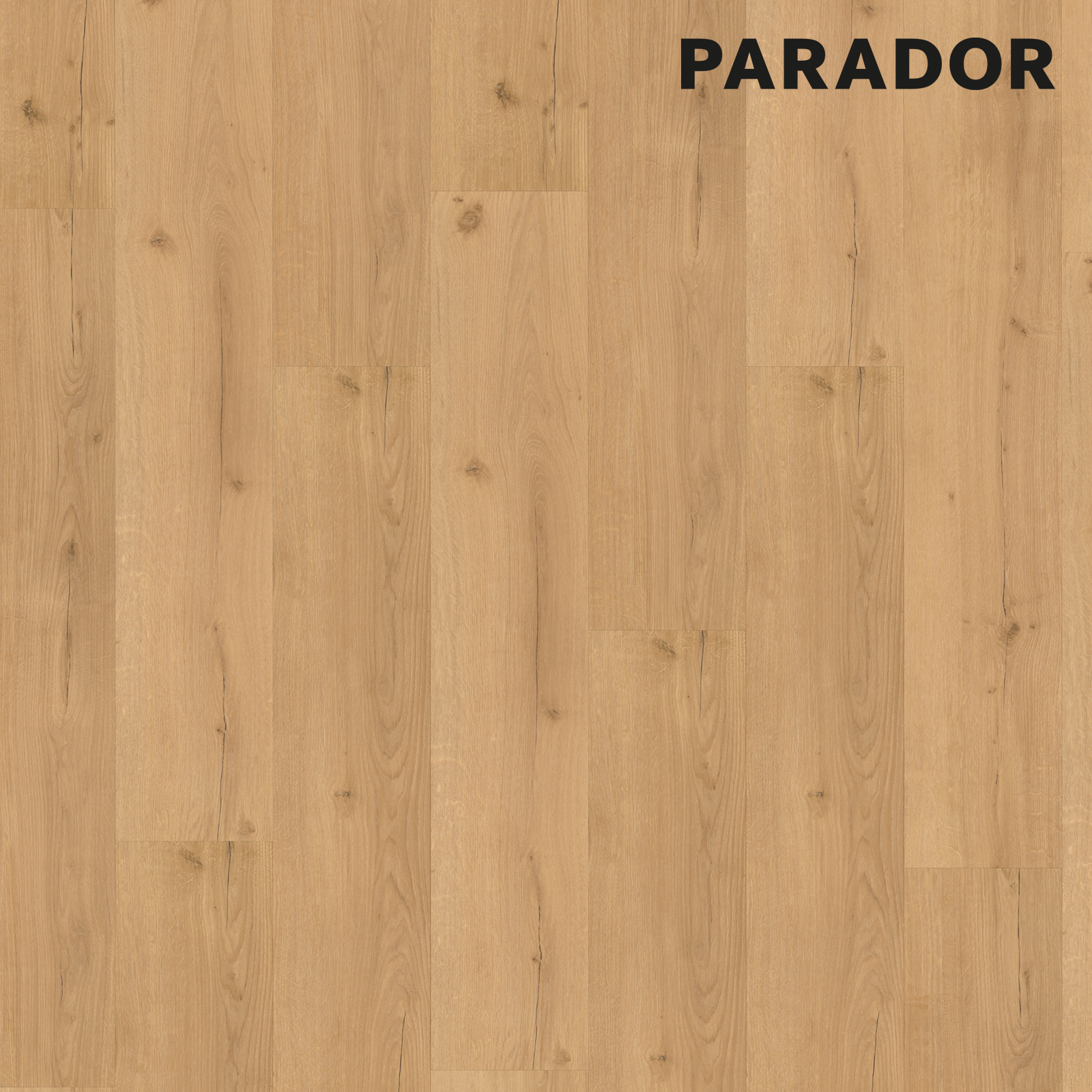 PARADOR Click-Vinyl BASIC 30 - Eiche Infinty natur - 9,4 mm