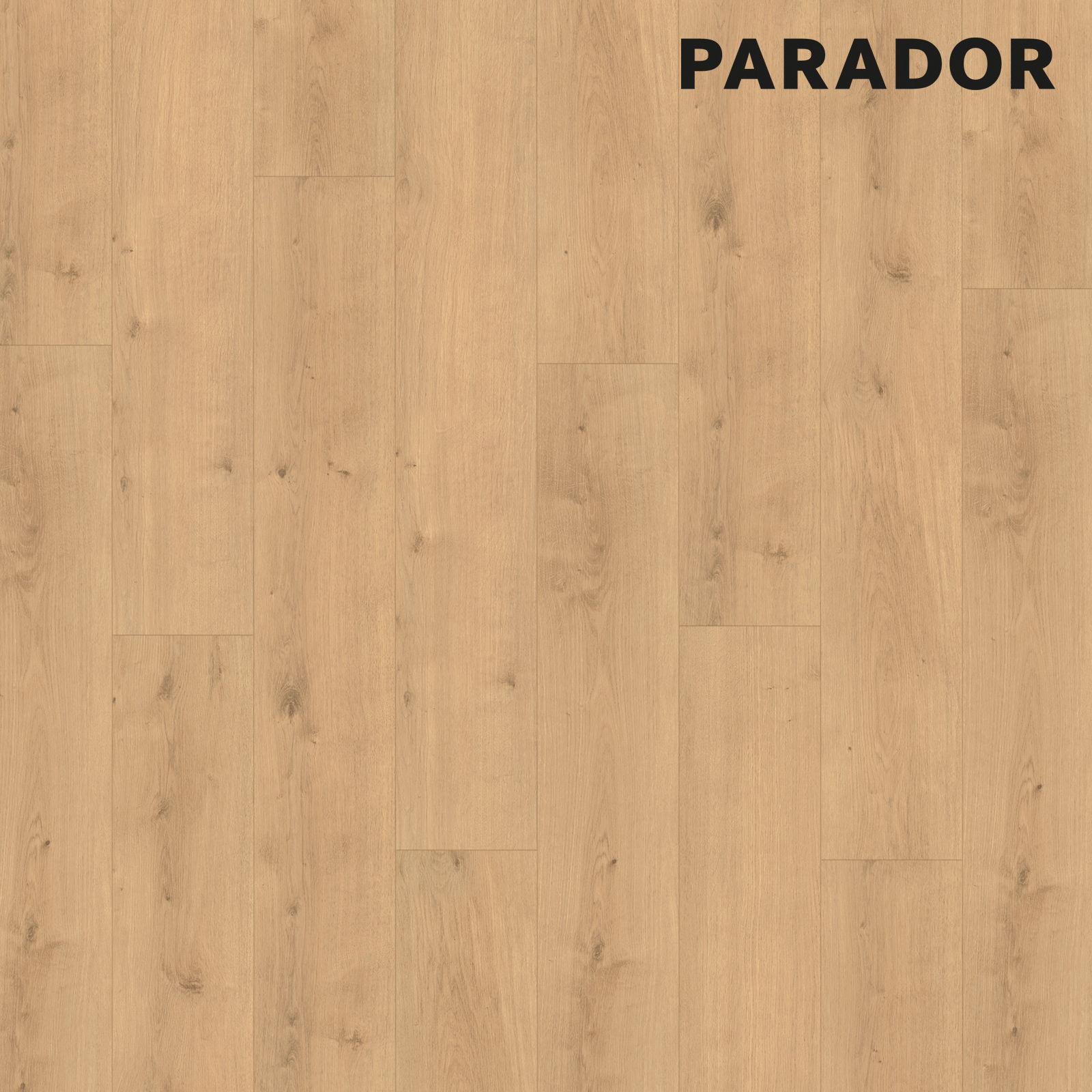 PARADOR Designboden MODULAR ONE - Eiche Pure natur - 8 mm
