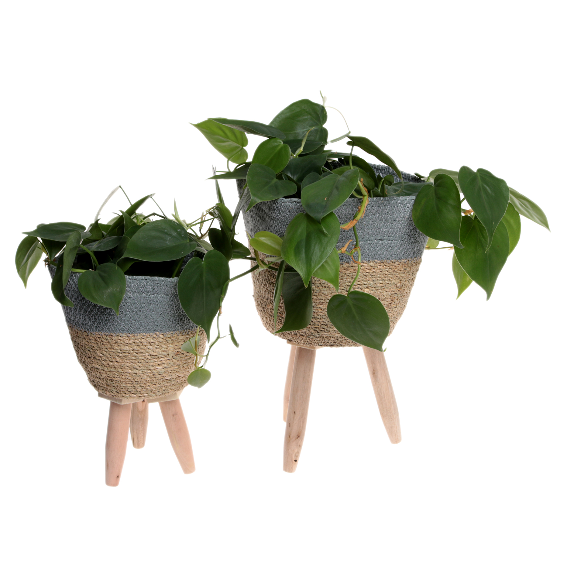 Pflanztopf - grau-natur - 26 cm hoch