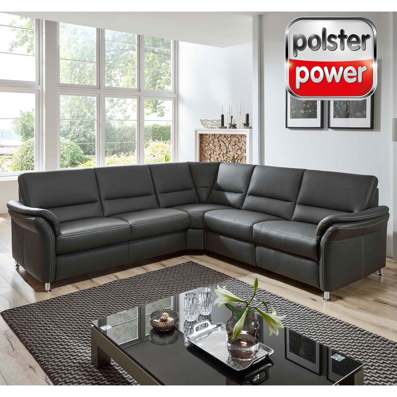 polsterpower Ledersofa - anthrazit - Basismodell - 2-Sitzer links