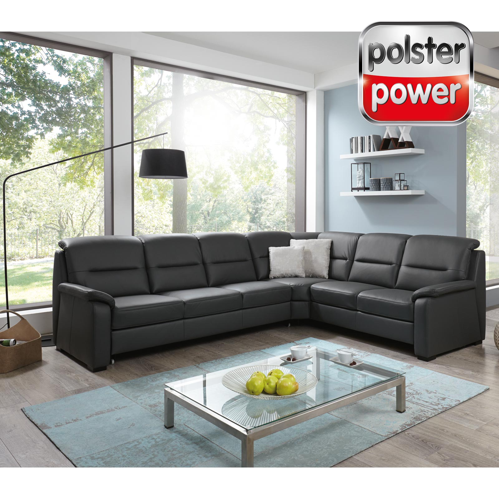polsterpower Ledersofa - anthrazit - Basismodell - 2-Sitzer rechts