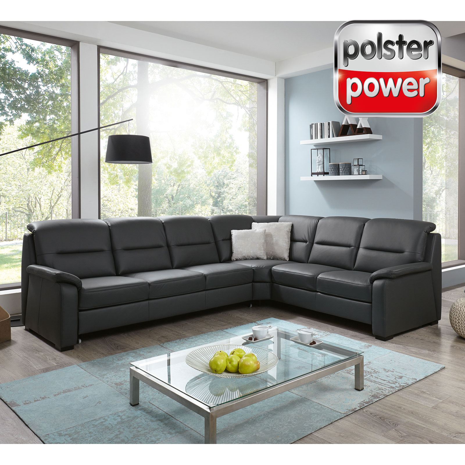 polsterpower Ledersofa - anthrazit - Basismodell - 2-Sitzer rechts