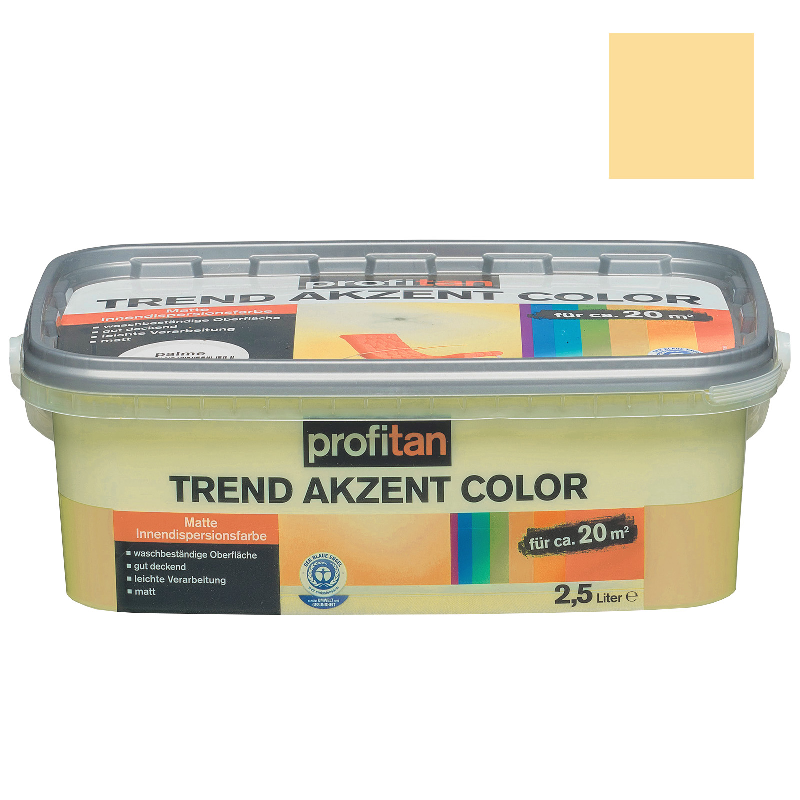 profitan Wandfarbe Trend Akzent Color - wüste matt - 2,5 Liter