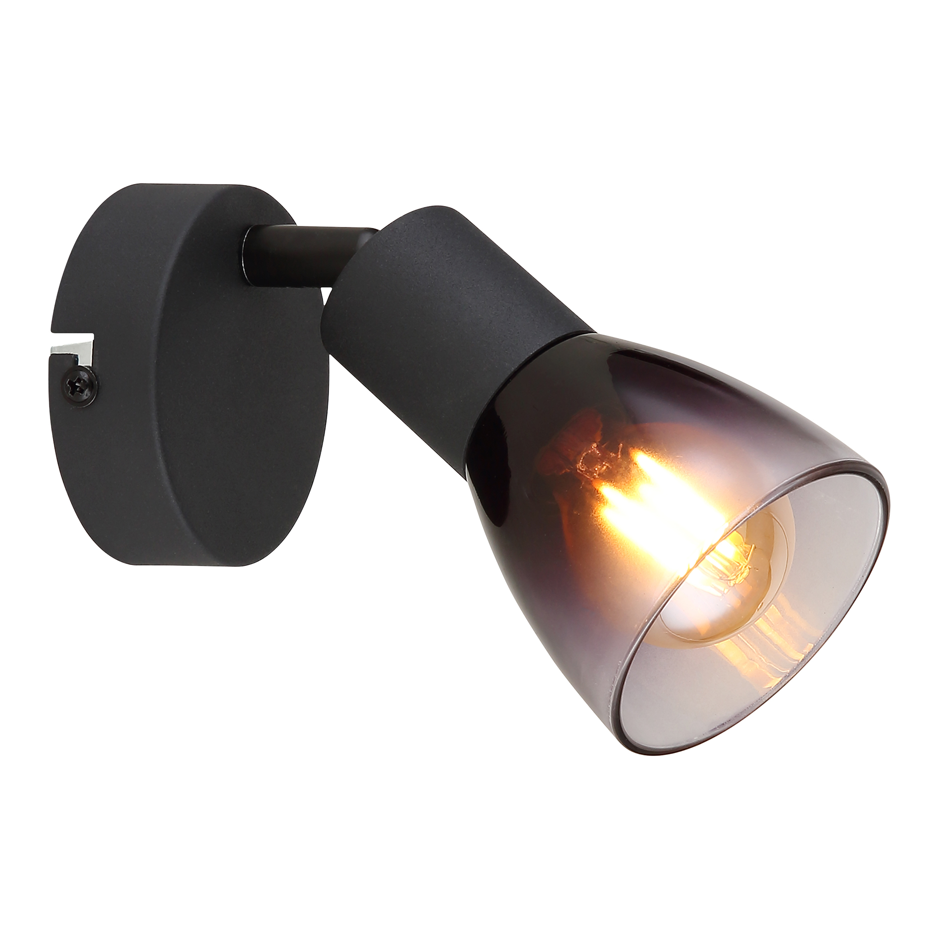 Spot - schwarz matt - rauchfarben - 1-flammig