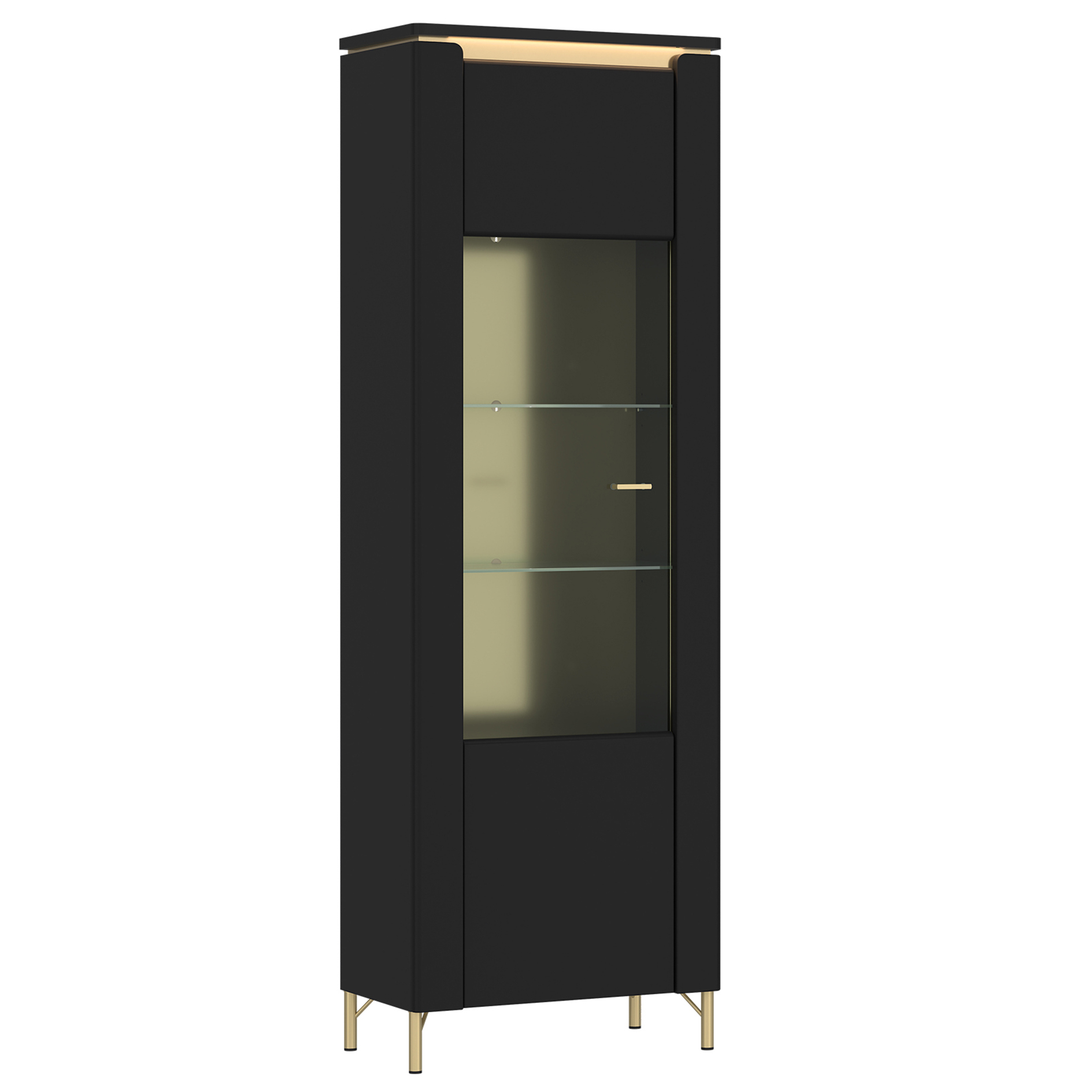 Standvitrine - schwarz matt - gold - 201 cm hoch