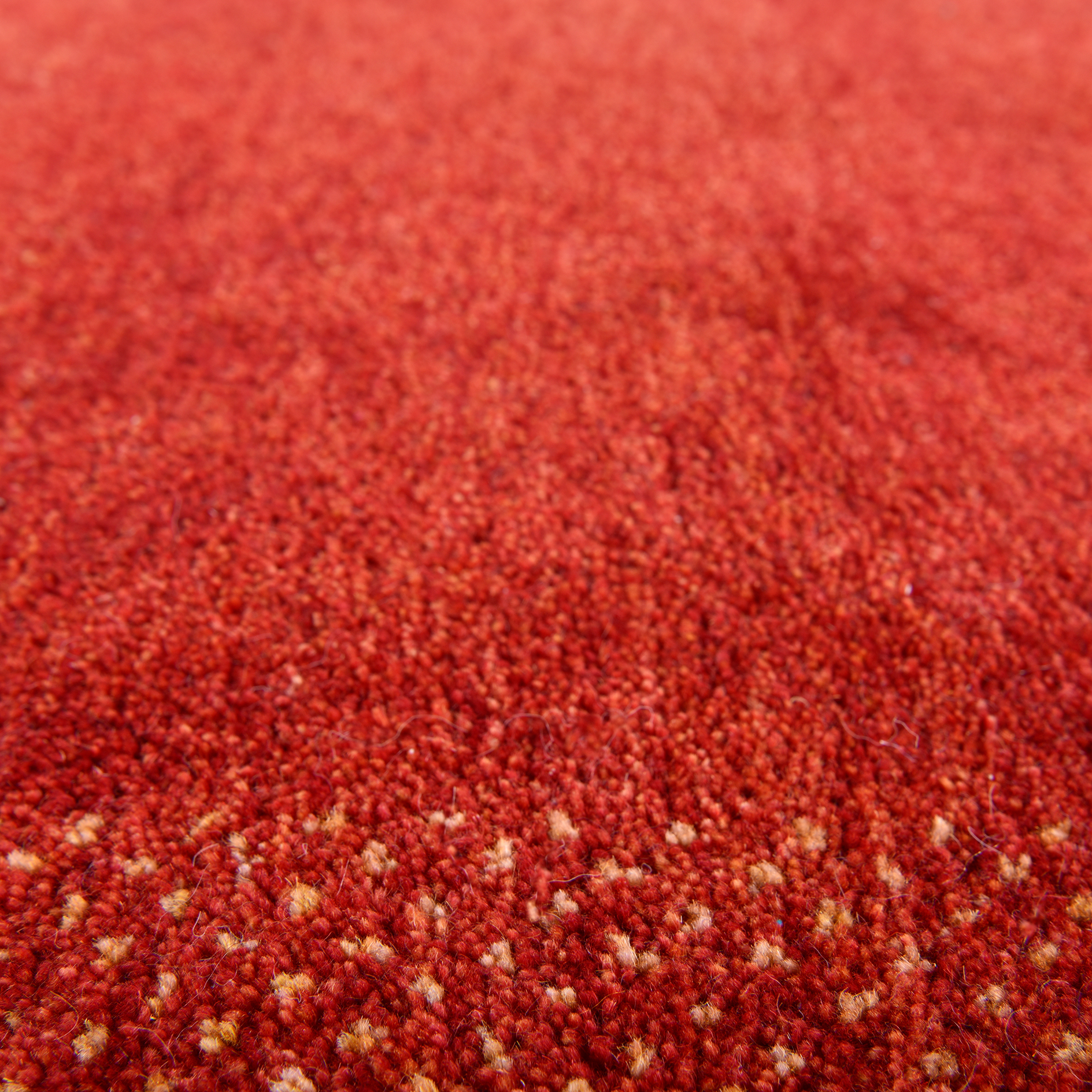 Teppich DENVER - rot - Schurwolle - 120x180 cm