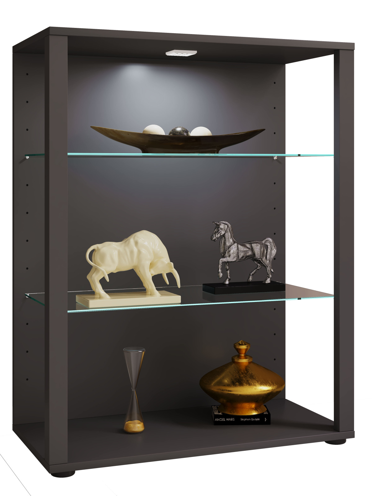 Vitrine GLASOL L - anthrazit - 70x90 cm