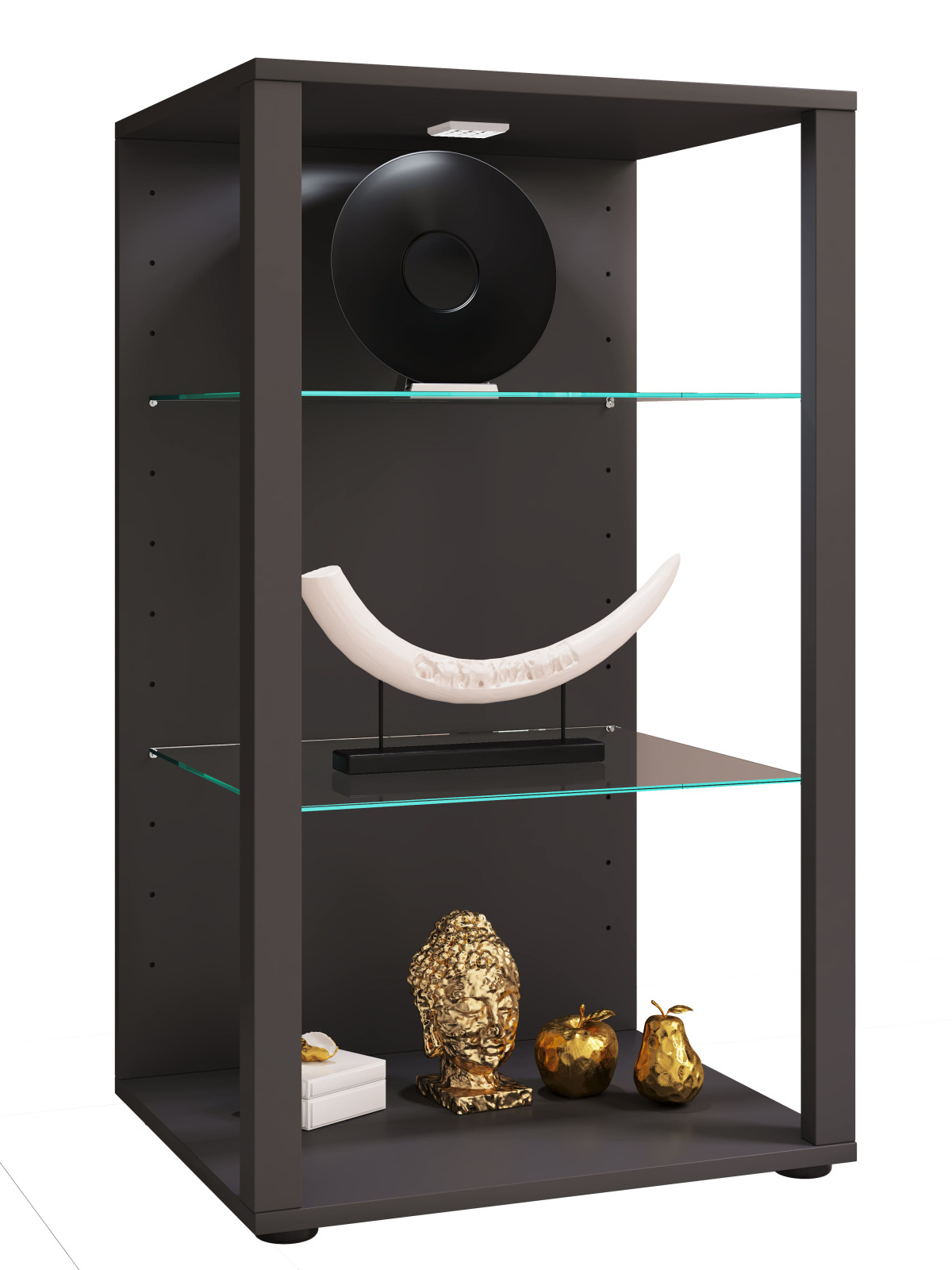 Vitrine GLASOL XL - anthrazit - 52x90 cm