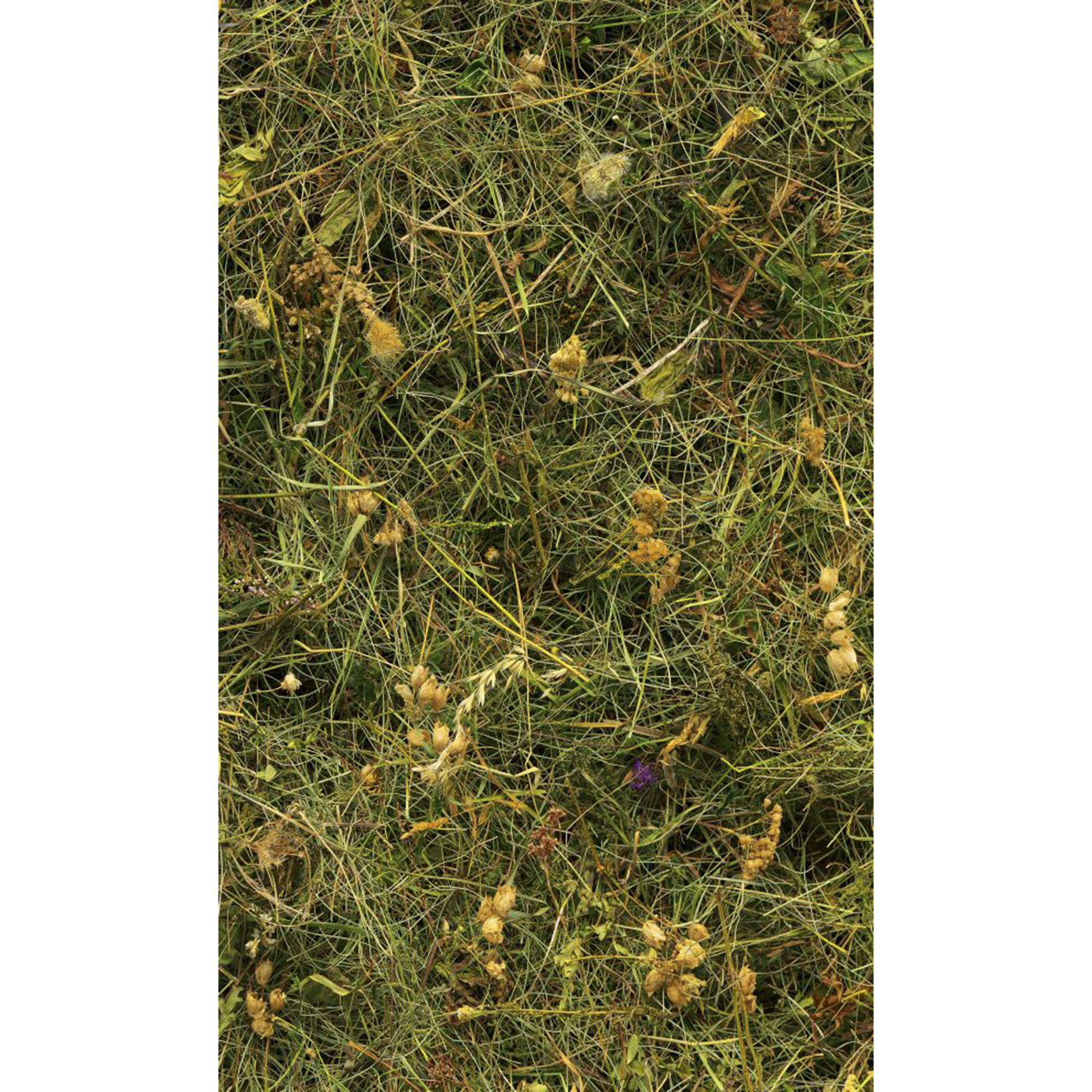 Vlies-Fototapete BERGHEU - grün - 150x250 cm