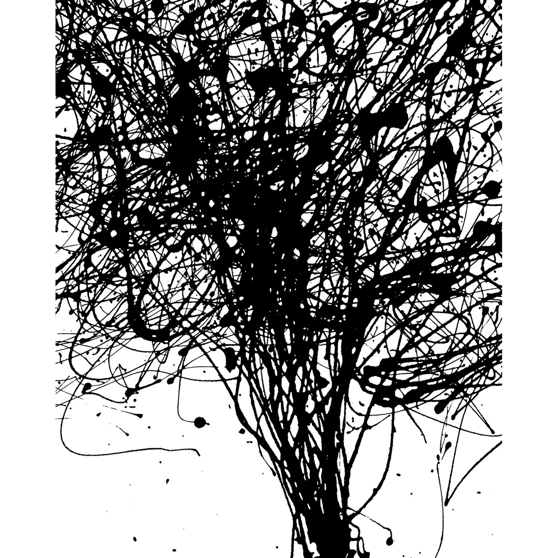 Vlies-Fototapete CURLS - schwarz-weiß - 200x250 cm