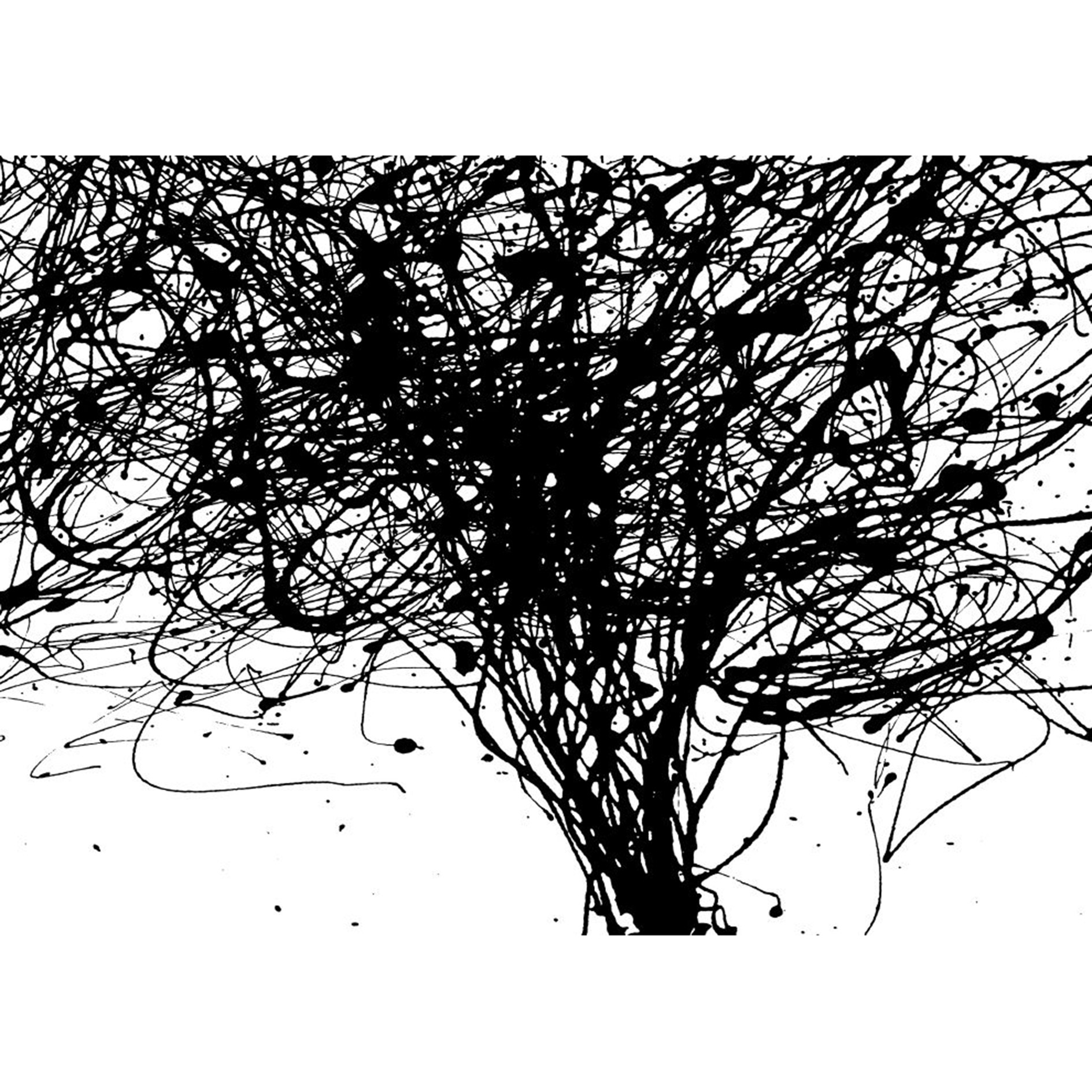 Vlies Fototapete CURLS - schwarz-weiß - 350x250 cm