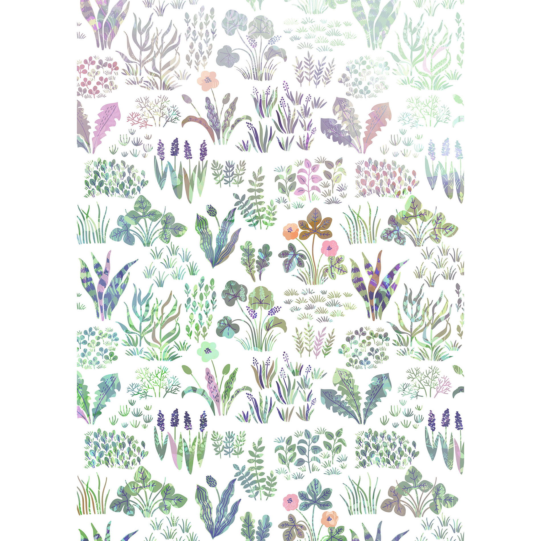 Vlies-Fototapete FLOWER FARM - bunt - 200x280 cm