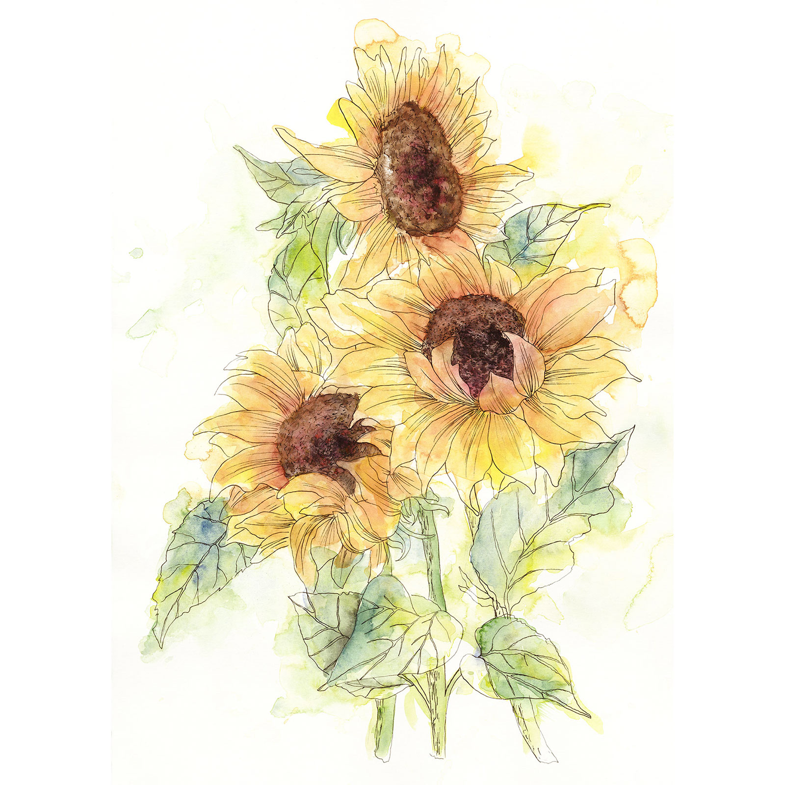 Vlies-Fototapete GIRASOL - gelb-grün - 200x250 cm