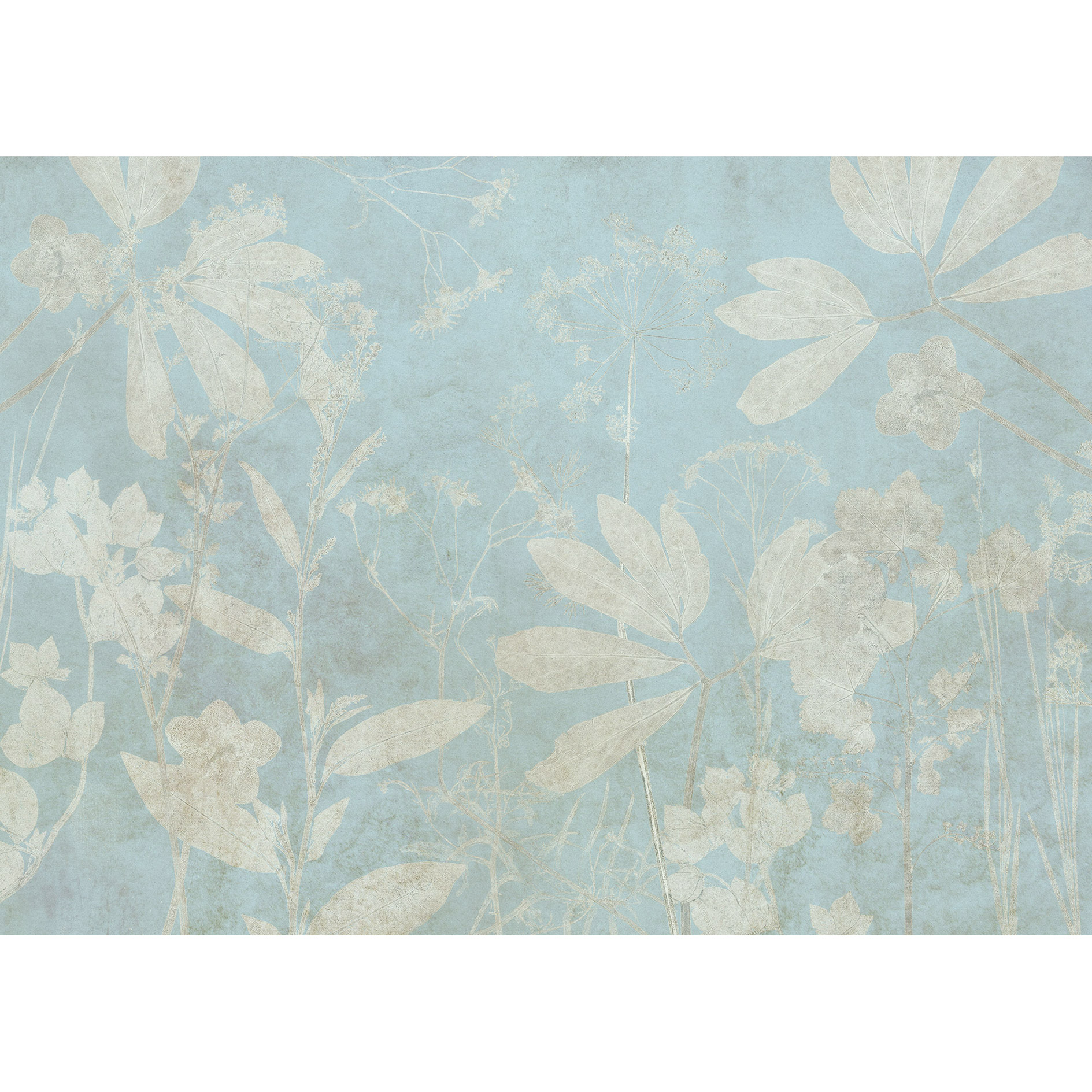 Vlies-Fototapete JARDIN SUR PAPIER - 350x250 cm