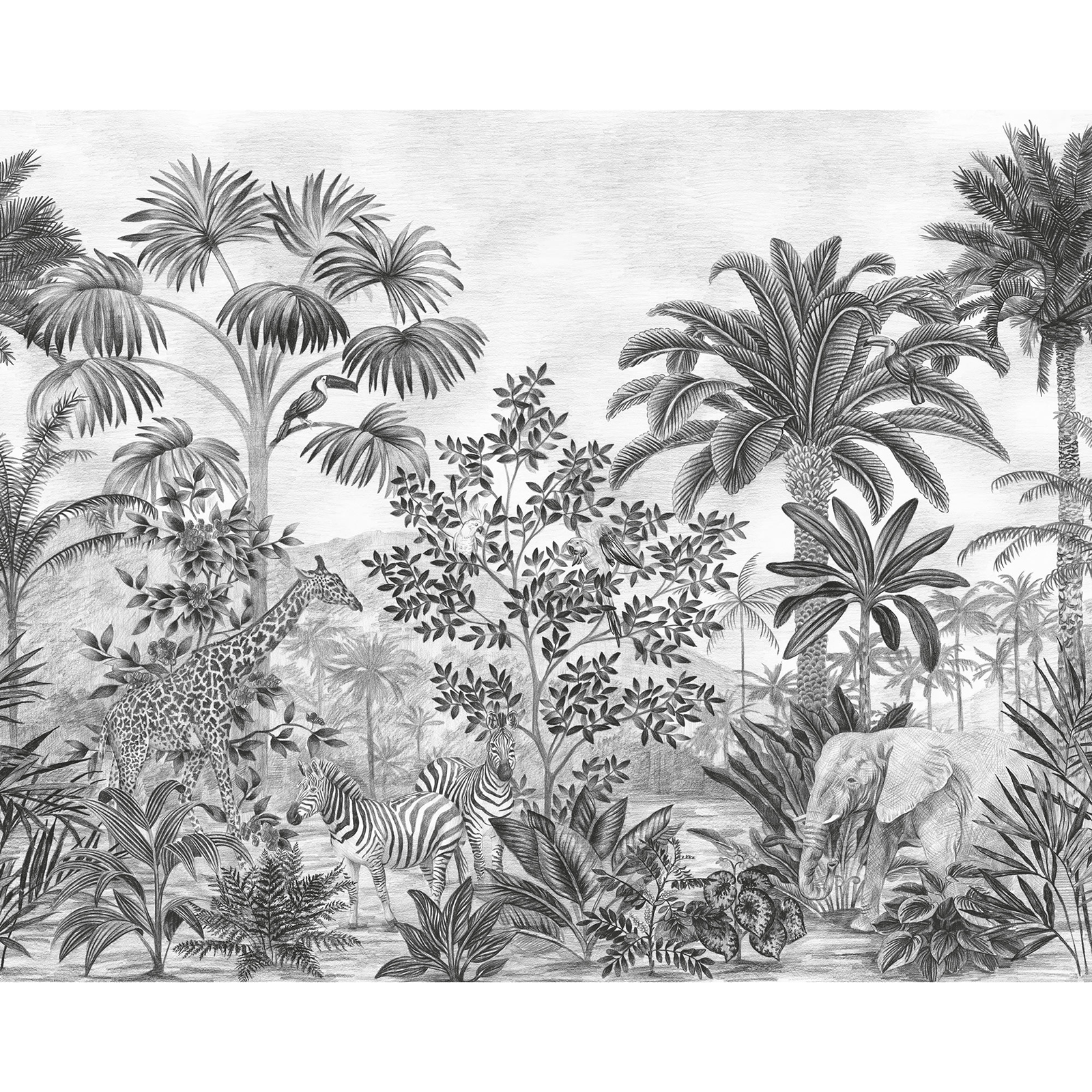 Vlies-Fototapete JUNGLE EVOLUTION - schwarz-weiß - 350x280 cm