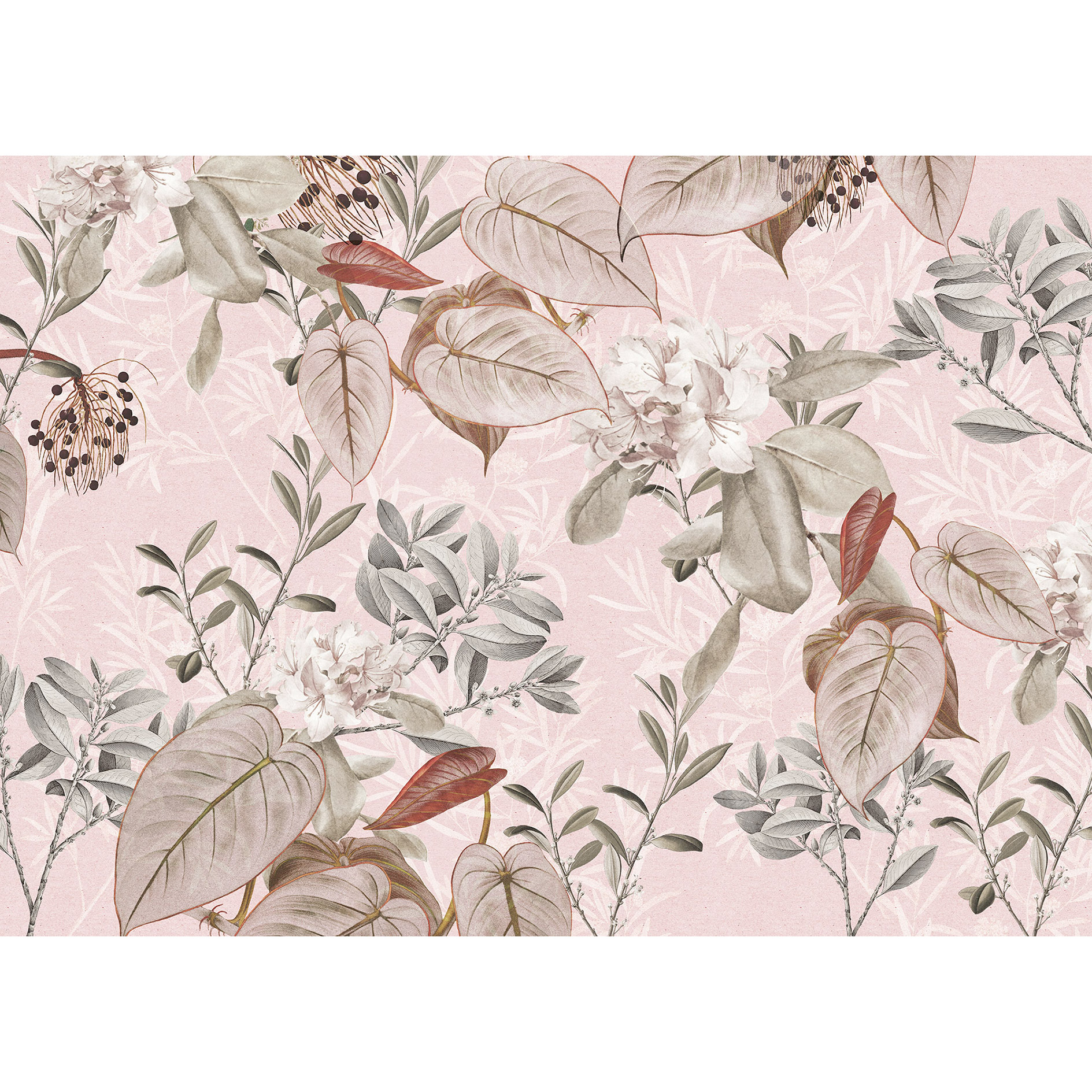 Vlies-Fototapete KALINA - rosa-silber - 350x250 cm