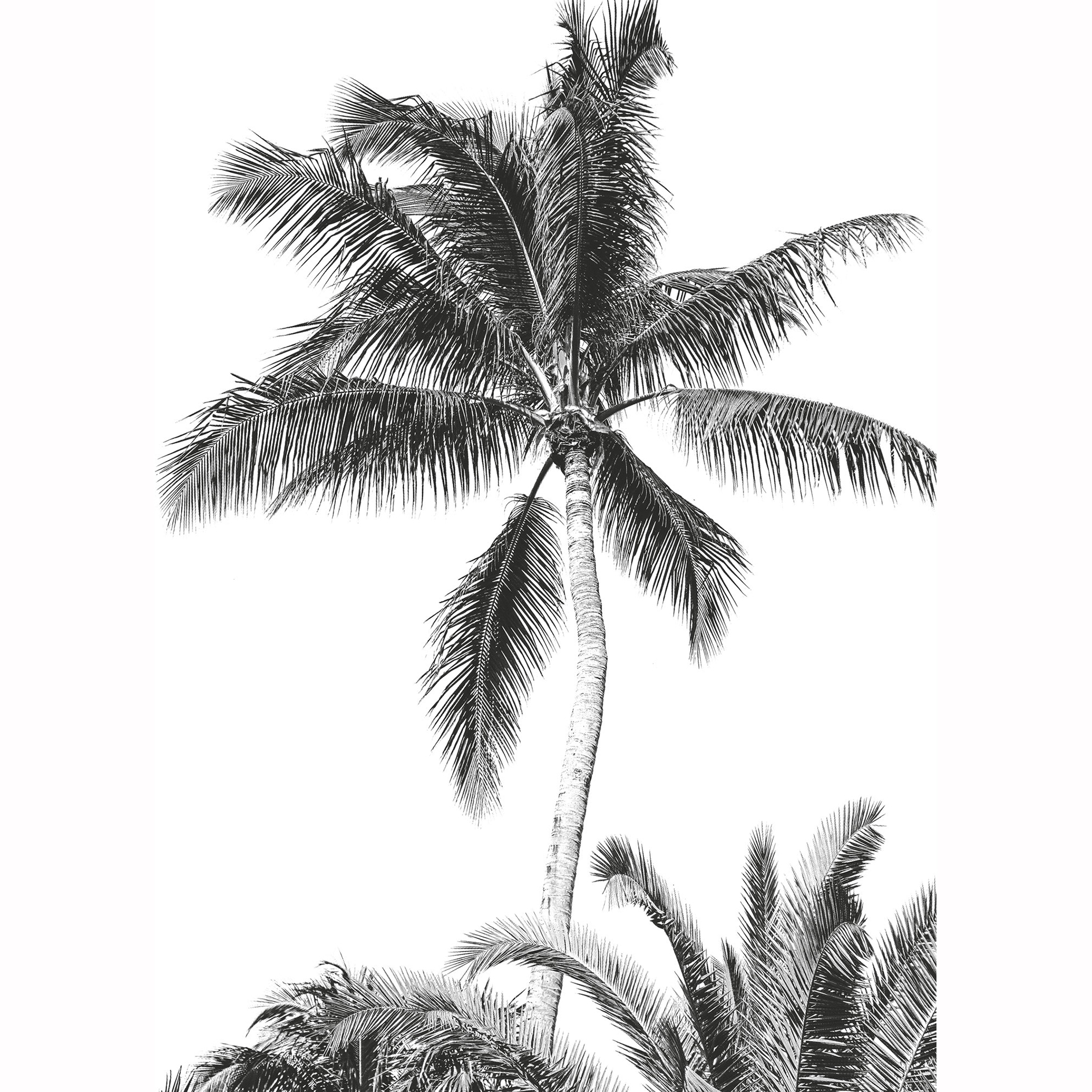 Vlies-Fototapete RETRO PALM - 200x270 cm