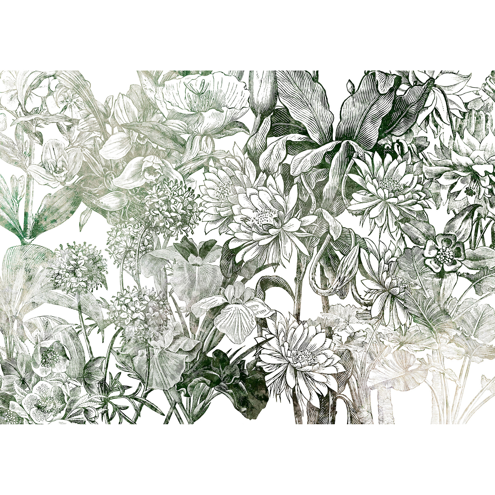 Vlies-Fototapete VALERIE - grün-weiß - 350x250 cm