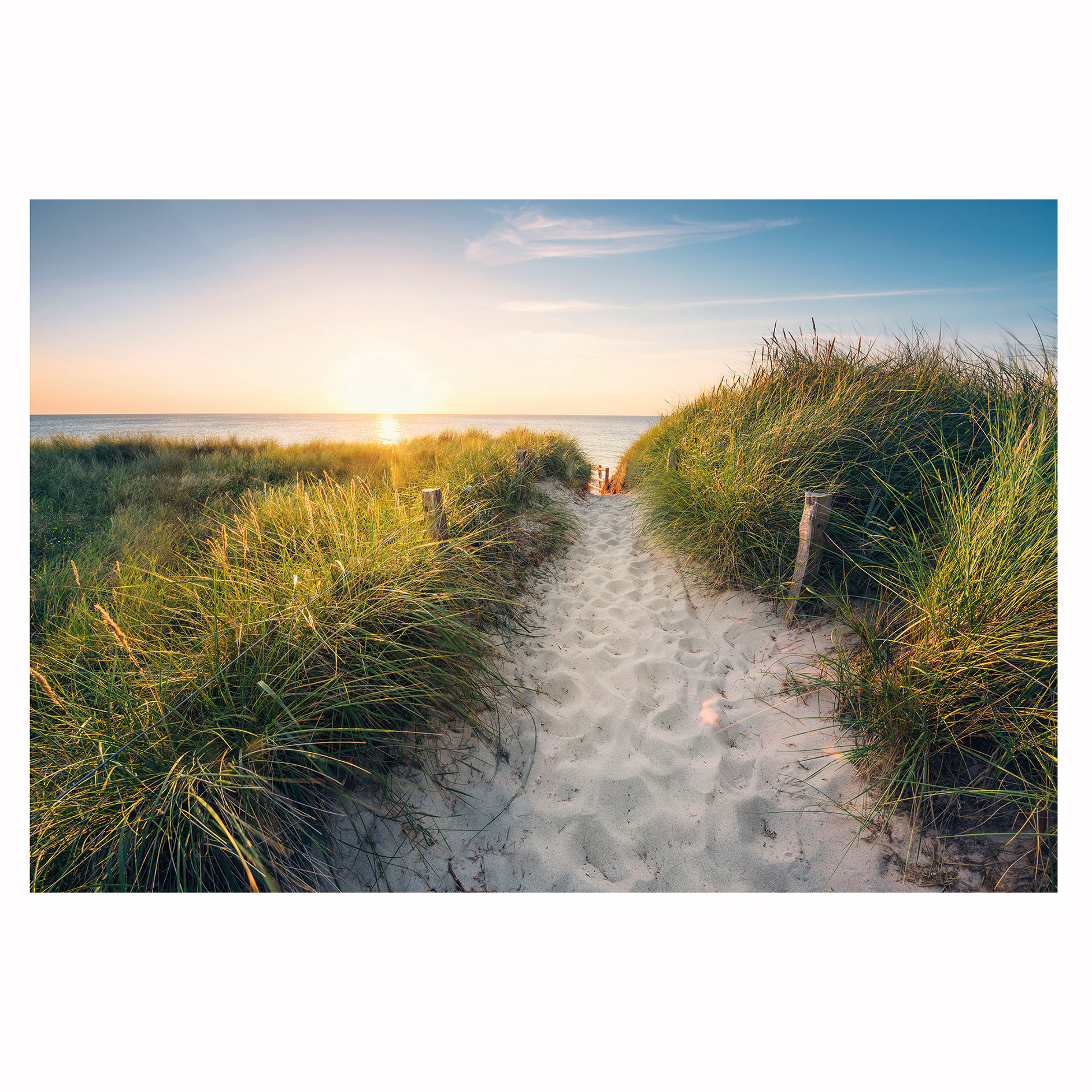 Vlies-Fototapete WAY TO THE BEACH XXL - 3,68 Meter
