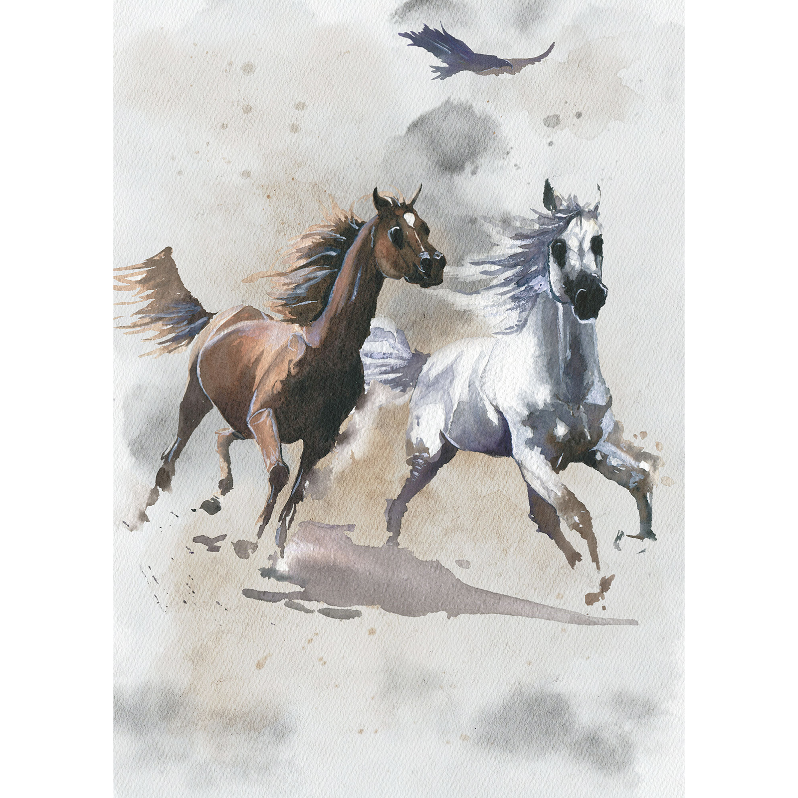 Vlies-Fototapete WILD RIDE - bunt - 200x280 cm