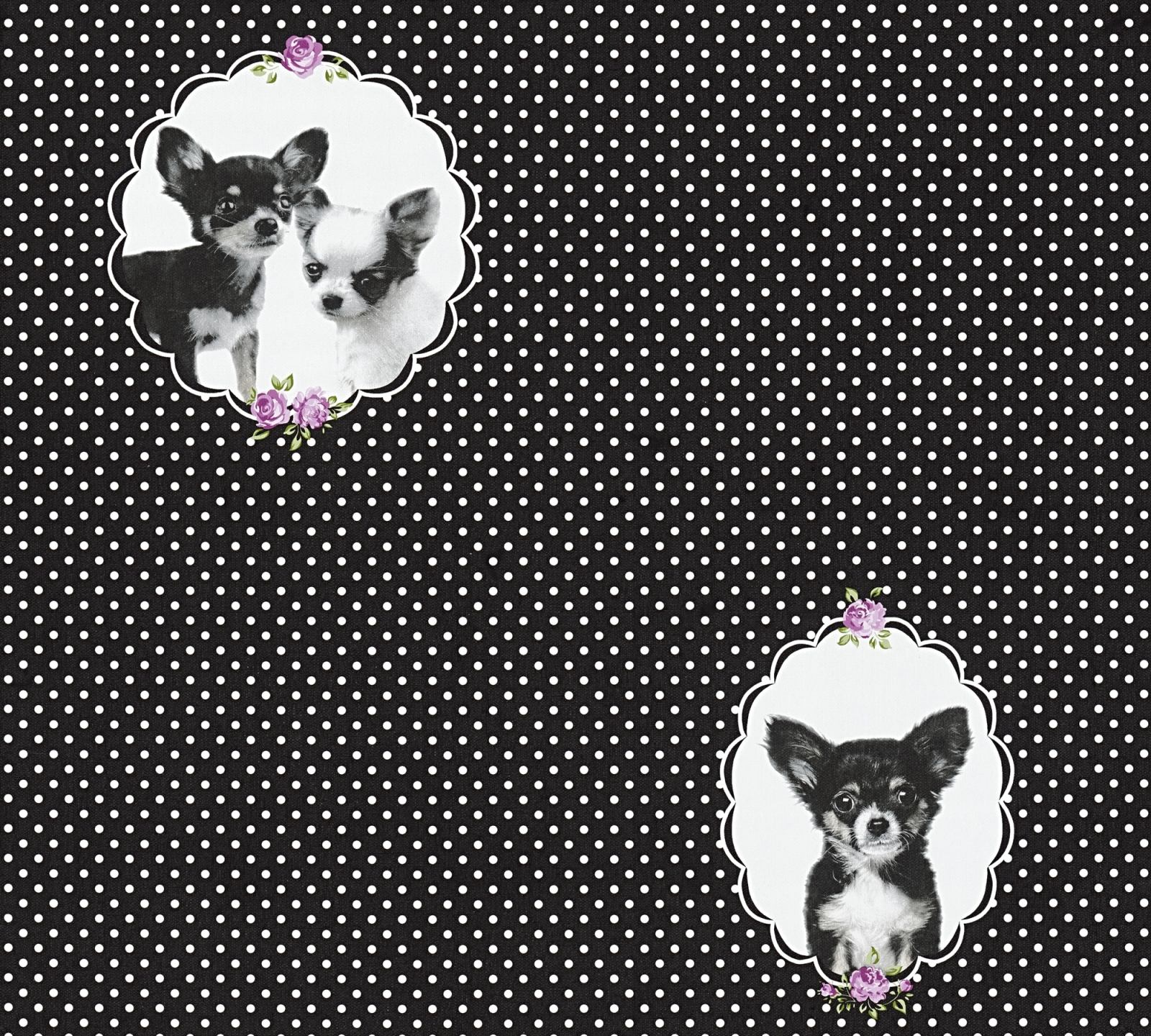 Vliestapete LITTLE STARS - schwarz-violett - 10 Meter