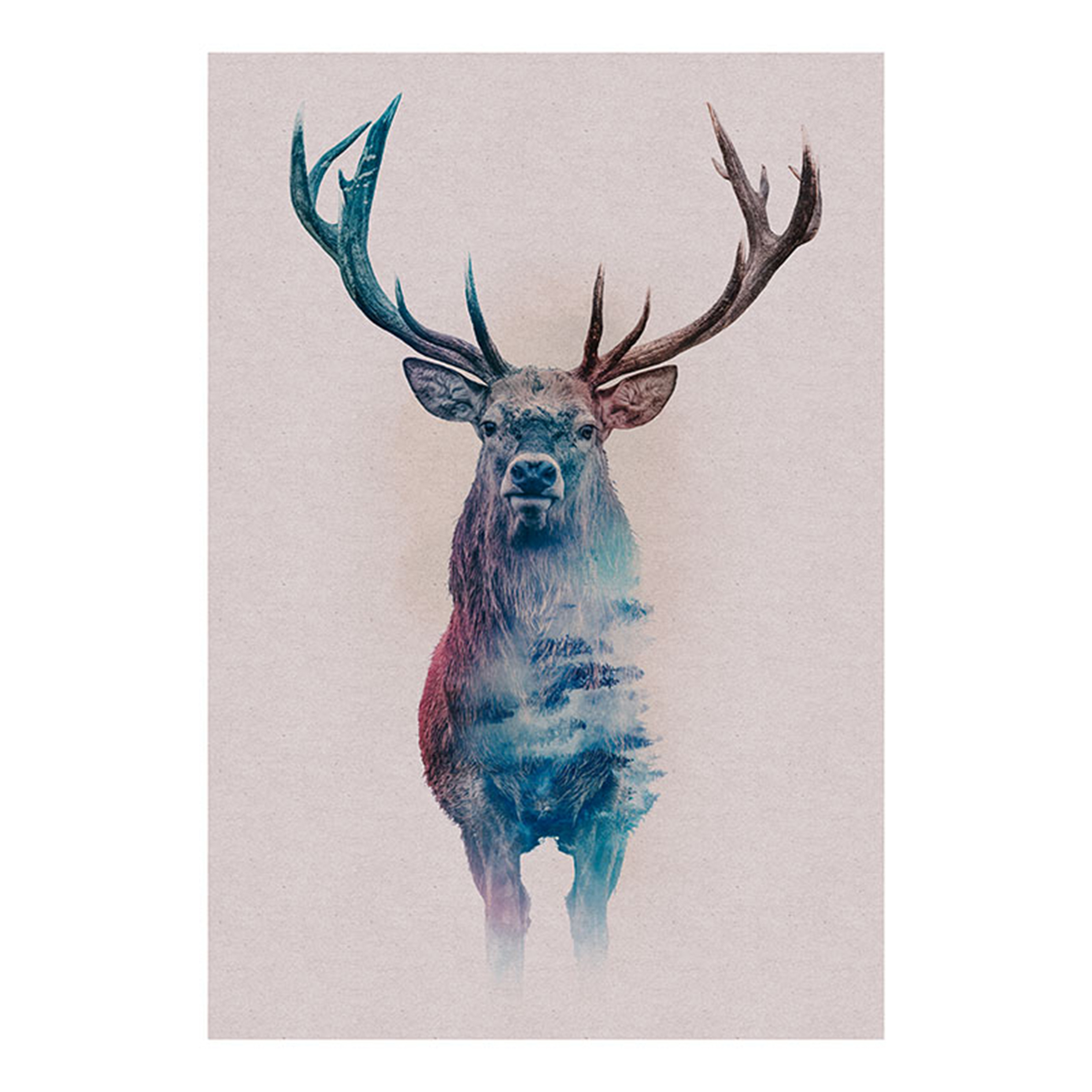 Wandbild ANIMALS FOREST DEER - 50x70 cm
