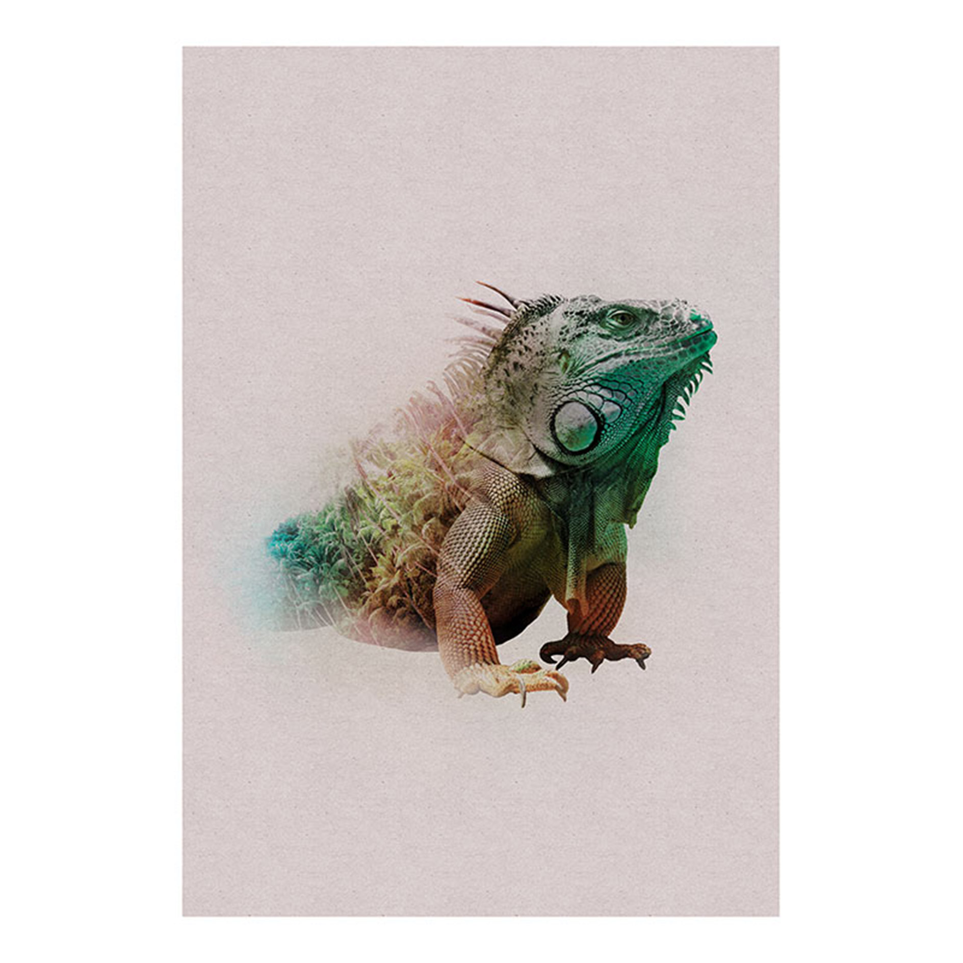 Wandbild ANIMALS PARADISE IGUANA - 50x70 cm