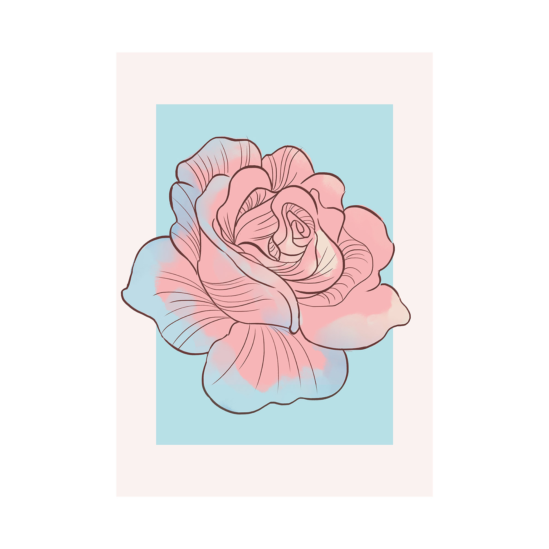 Wandbild CINDERELLA ROSE - bunt - 50x70 cm