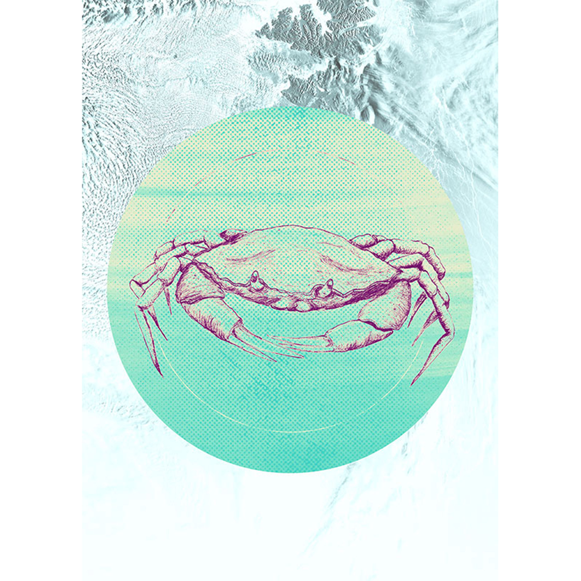 Wandbild CRAB SEA - bunt - 50x70 cm