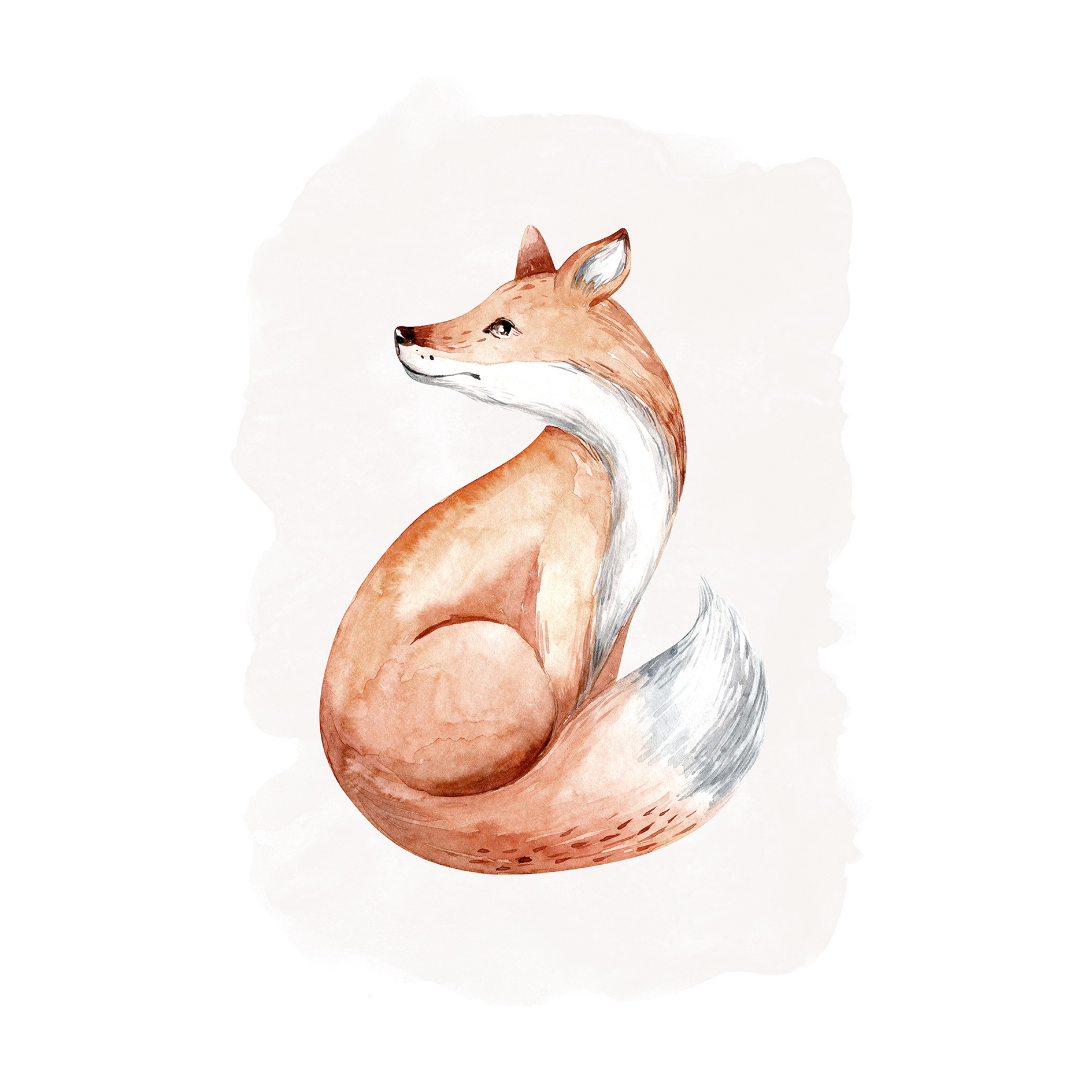 Wandbild CURIOUS FOX - bunt - 50x70 cm