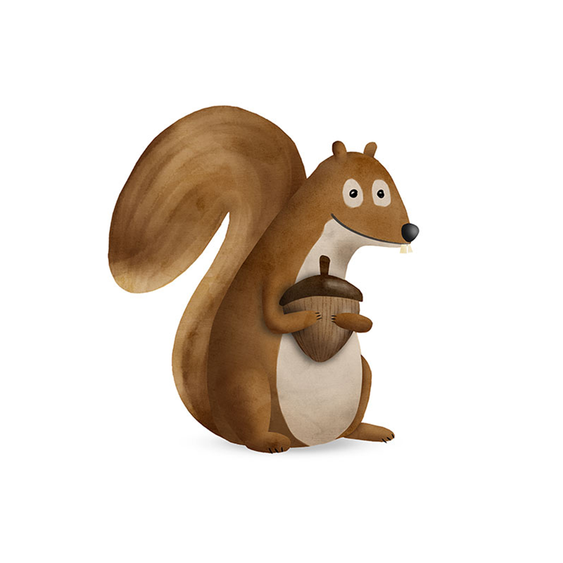 Wandbild CUTE ANIMAL SQUIRREL - 50x70 cm