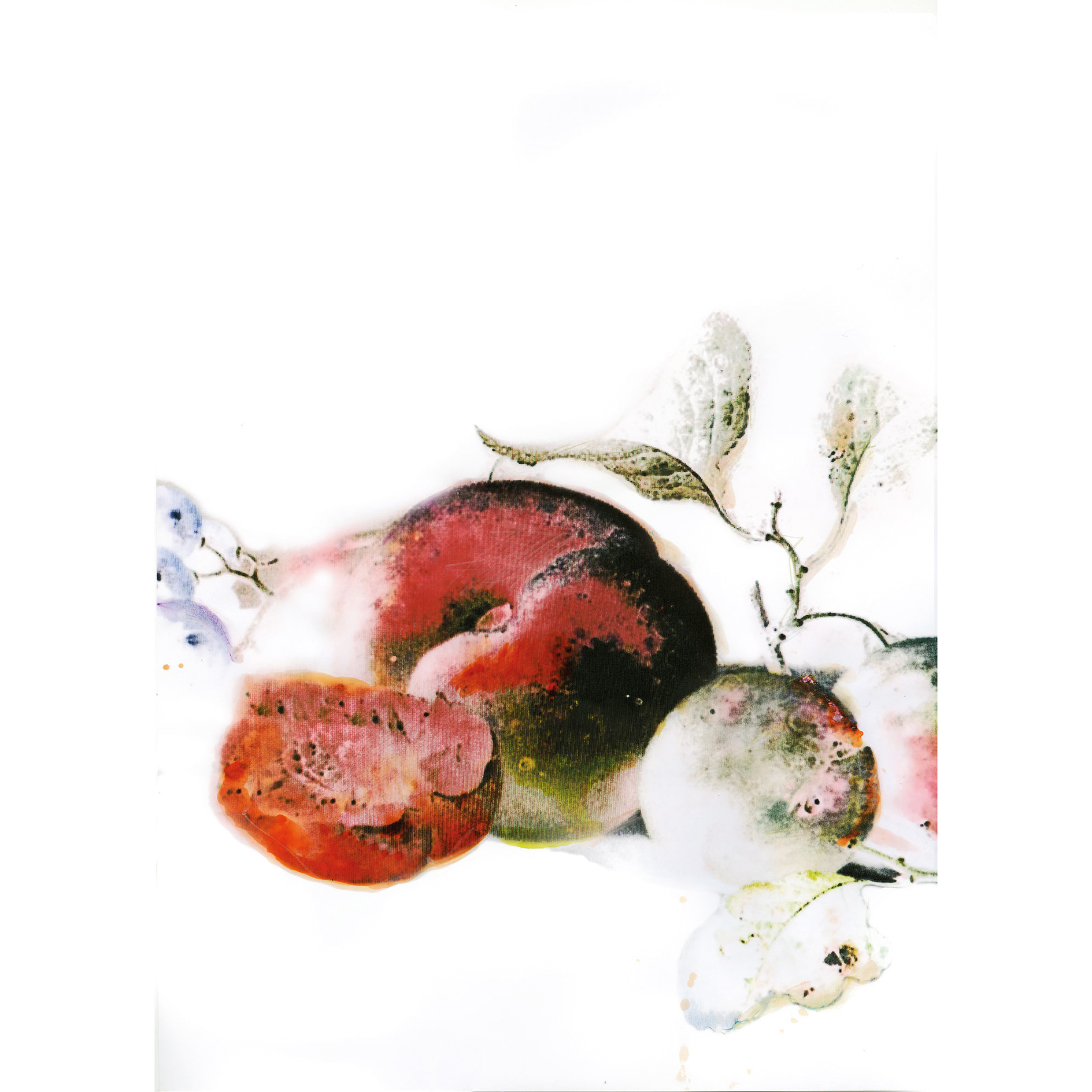 Wandbild DESSERT FRUITE - rot - 50x70 cm