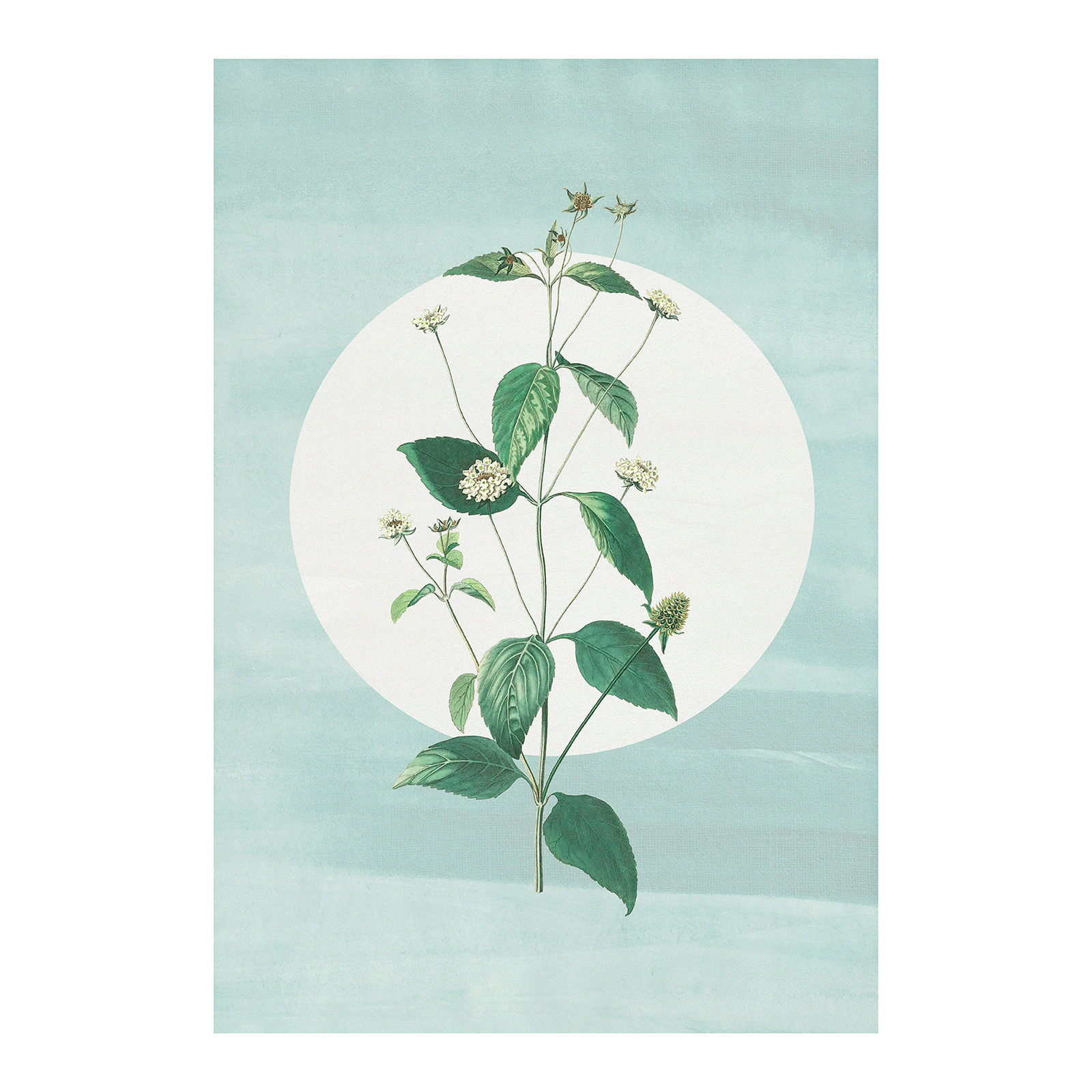 Wandbild FAIRE POUSSER DES FRAISES - 50x70 cm