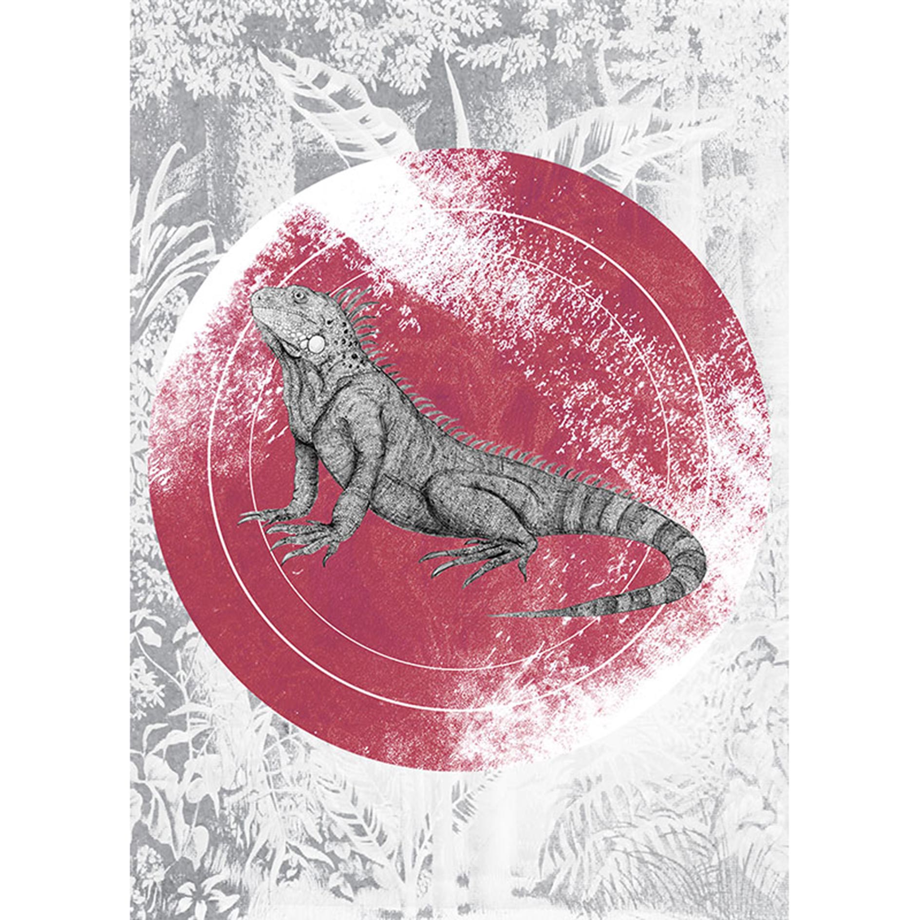 Wandbild IGUANA CIRCLE - schwarz-weiß-rot - 50x70 cm