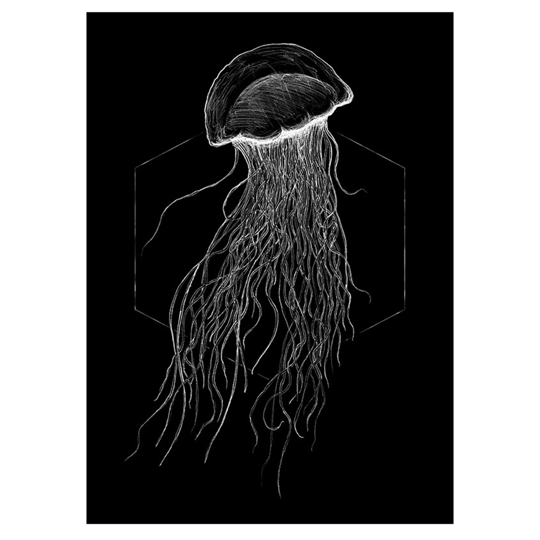 Wandbild JELLYFISH BLACK - schwarz-weiß - 50x70 cm