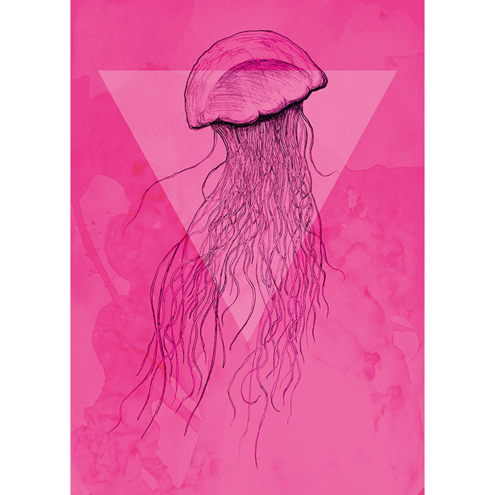 Wandbild JELLYFISH PINK - schwarz-pink - 50x70 cm
