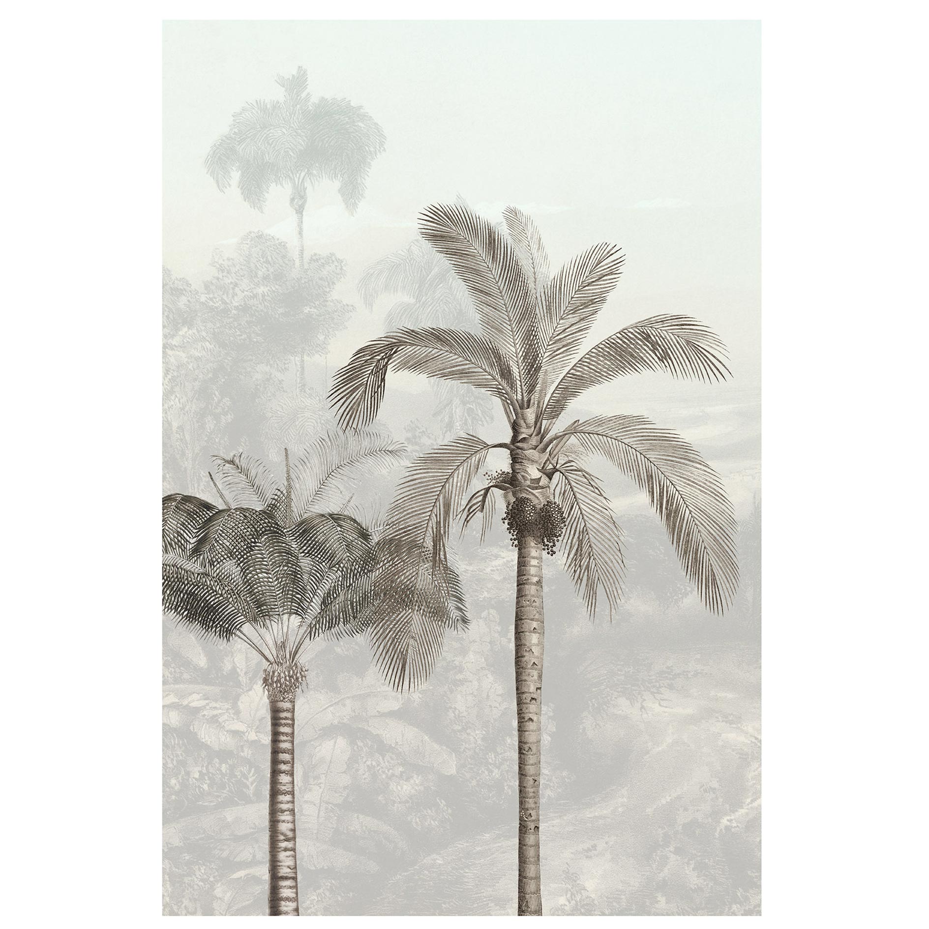 Wandbild JUNGLE PANORAMA - bunt - 50x70 cm