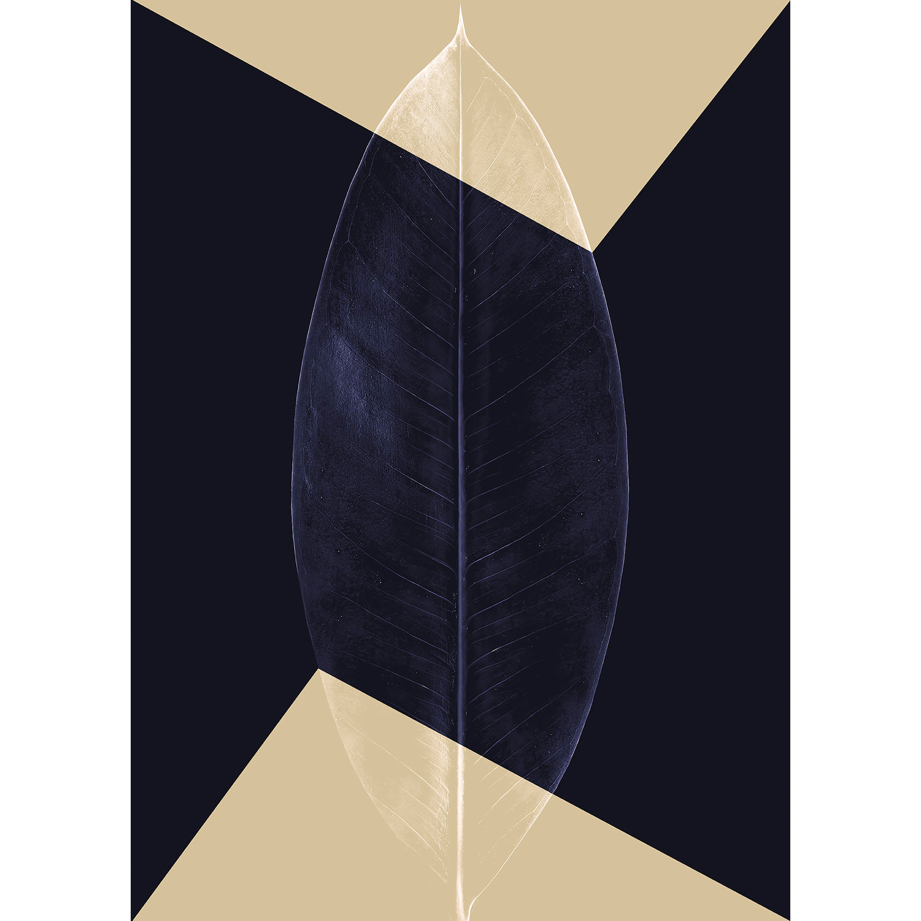 Wandbild LOTUS THEATRE - blau - 50x70 cm