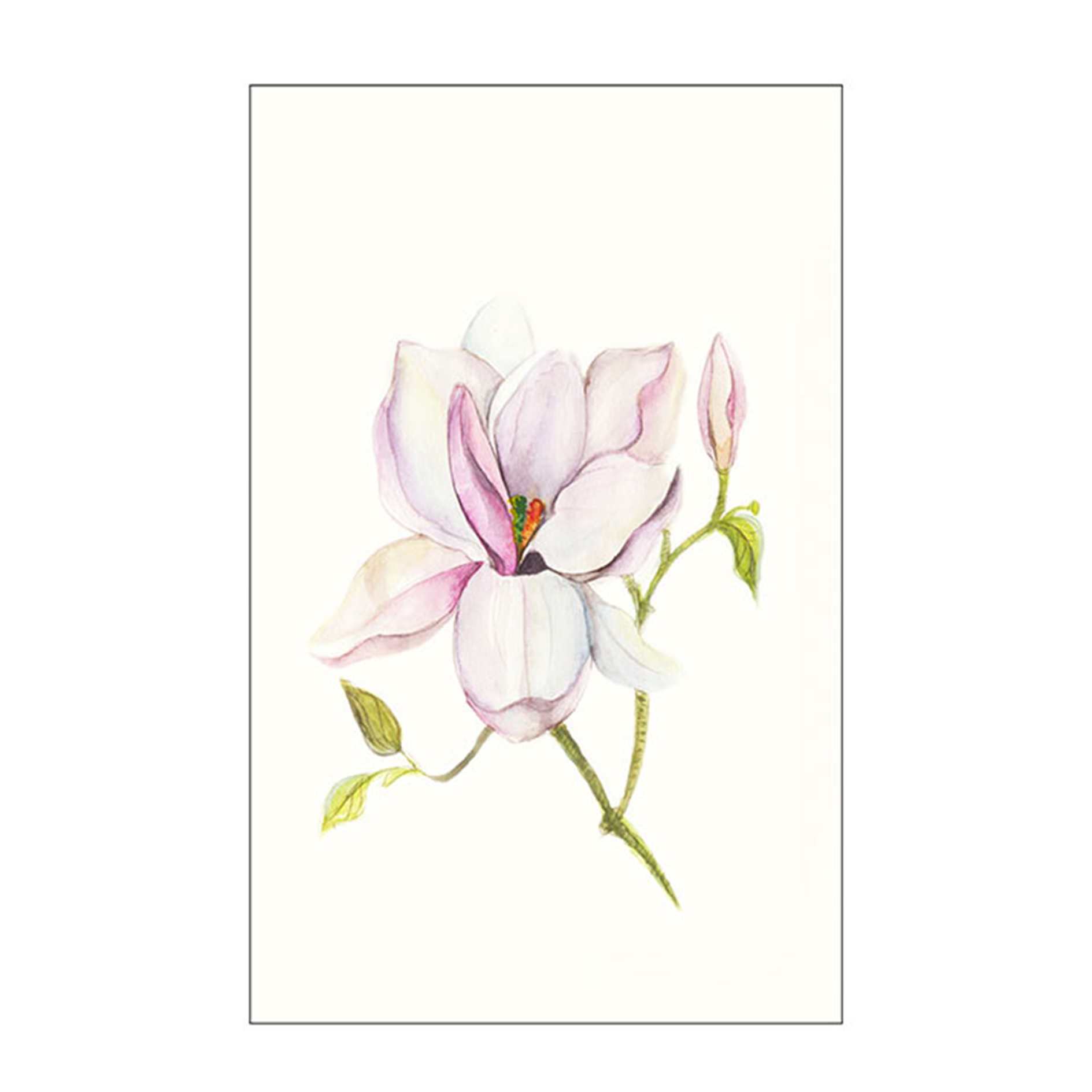 Wandbild MAGNOLIA SHINE - bunt - 50x70 cm