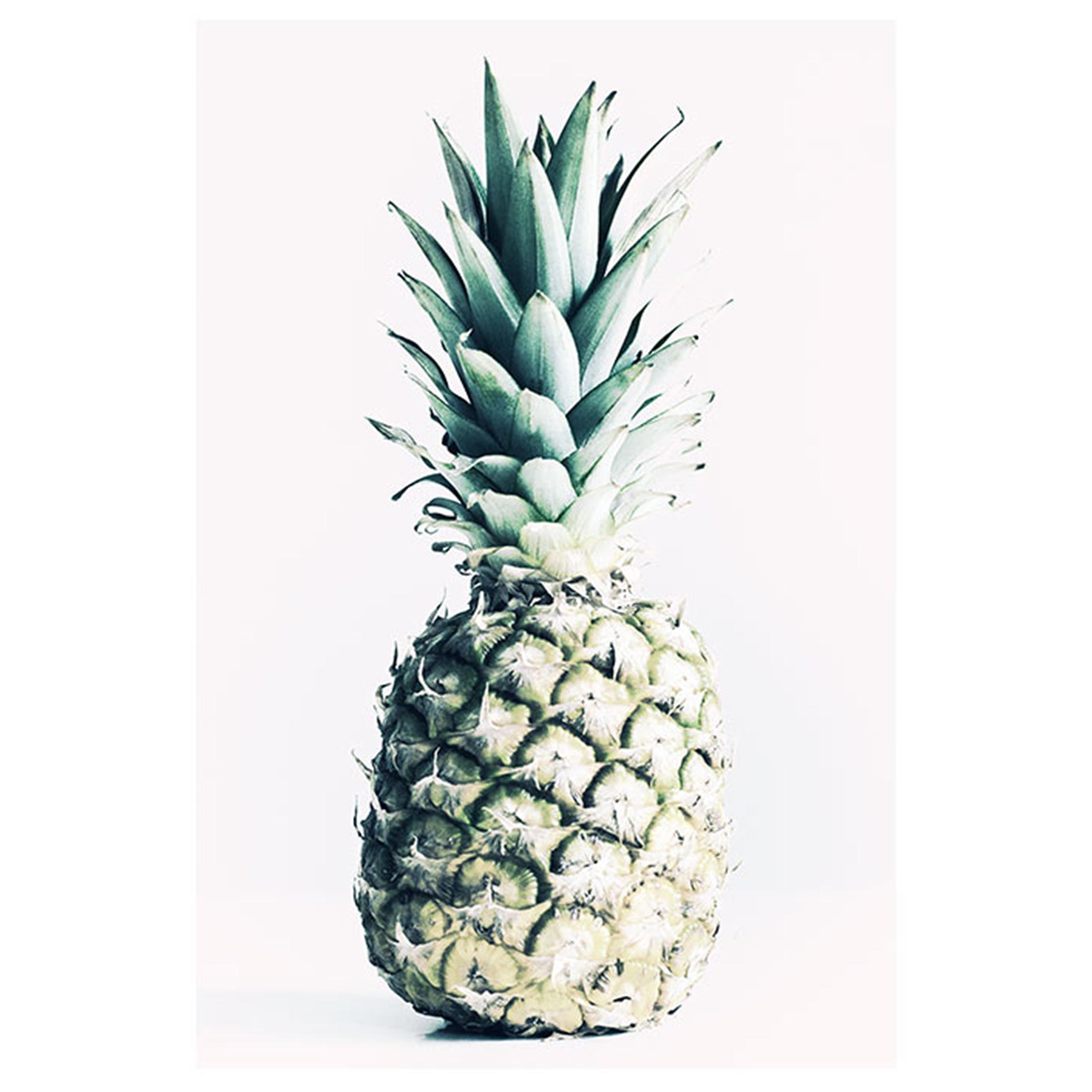 Wandbild PINEAPPLE - rosa-grün-bunt - 50x70 cm