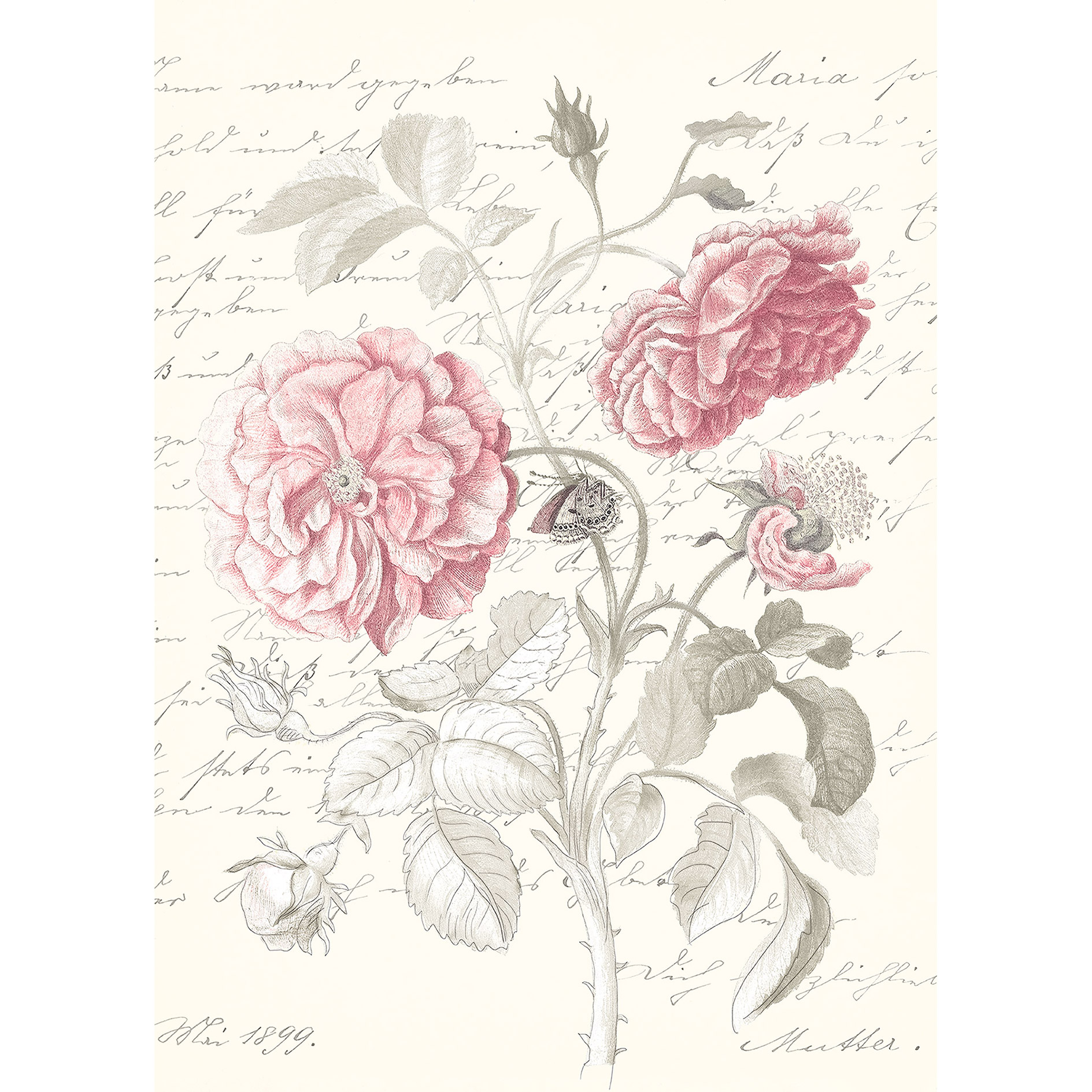 Wandbild POEME ROSE - rot-grün - 50x70 cm