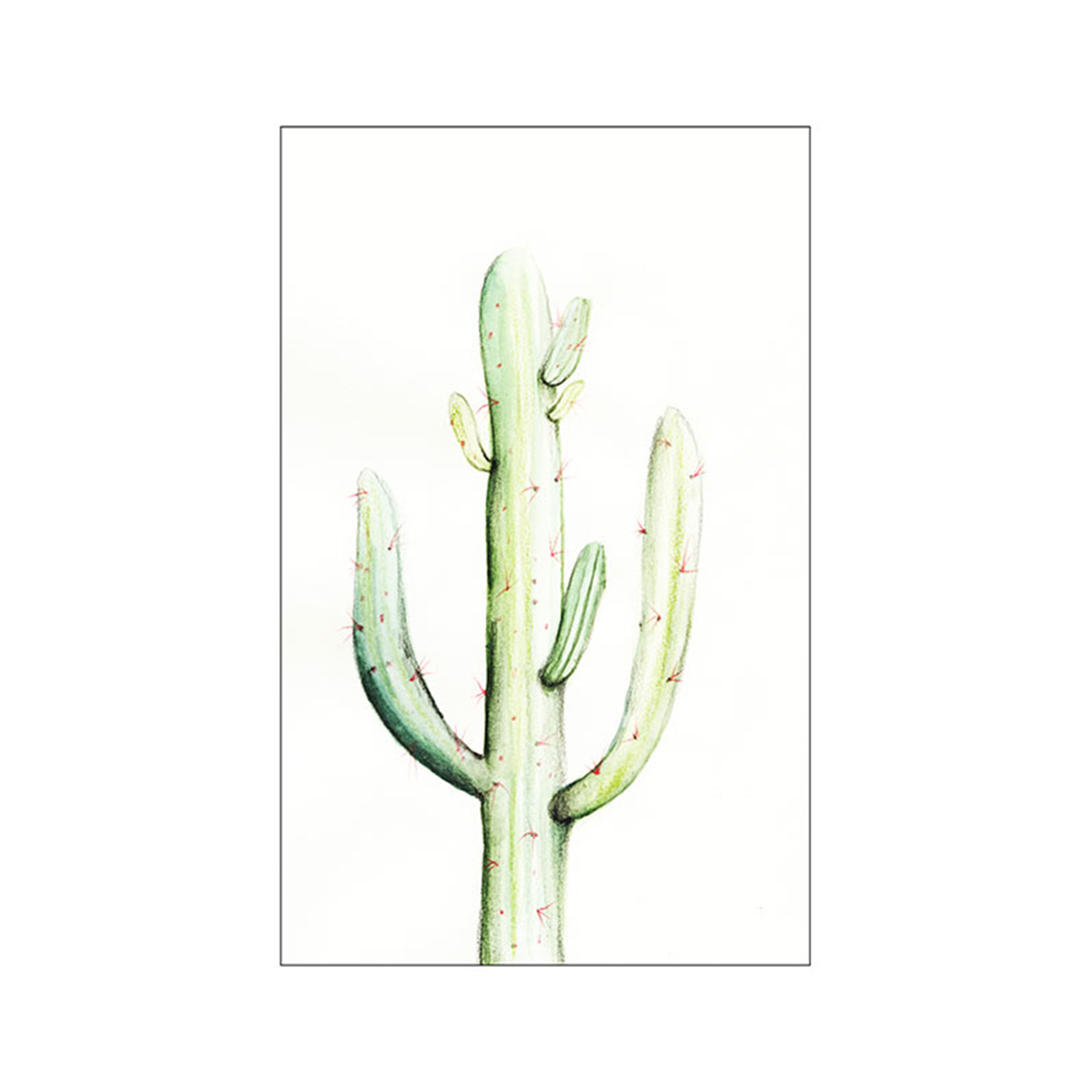 Wandbild SAGUARO WATERCOLOR - bunt - 50x70 cm