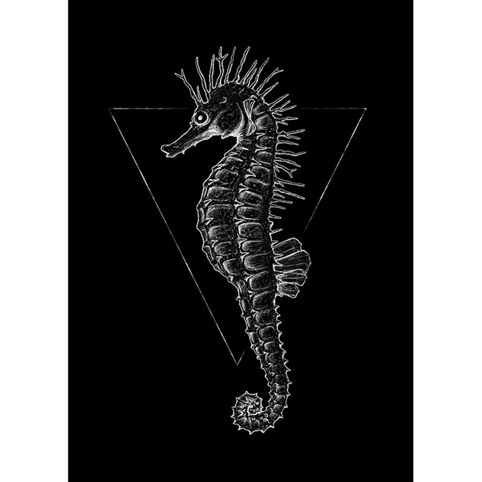 Wandbild SEA HORSE BLACK - schwarz-weiß - 50x70 cm