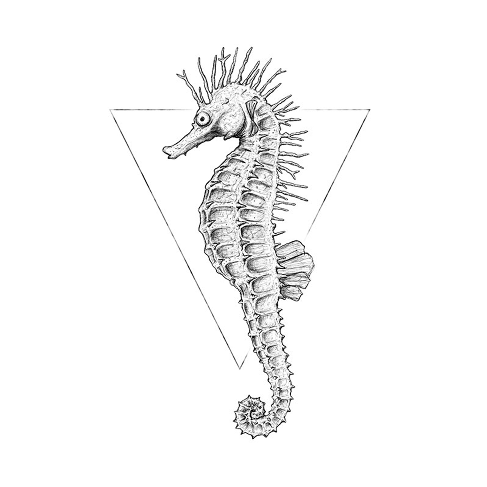 Wandbild SEA HORSE WHITE - schwarz-weiß - 50x70 cm